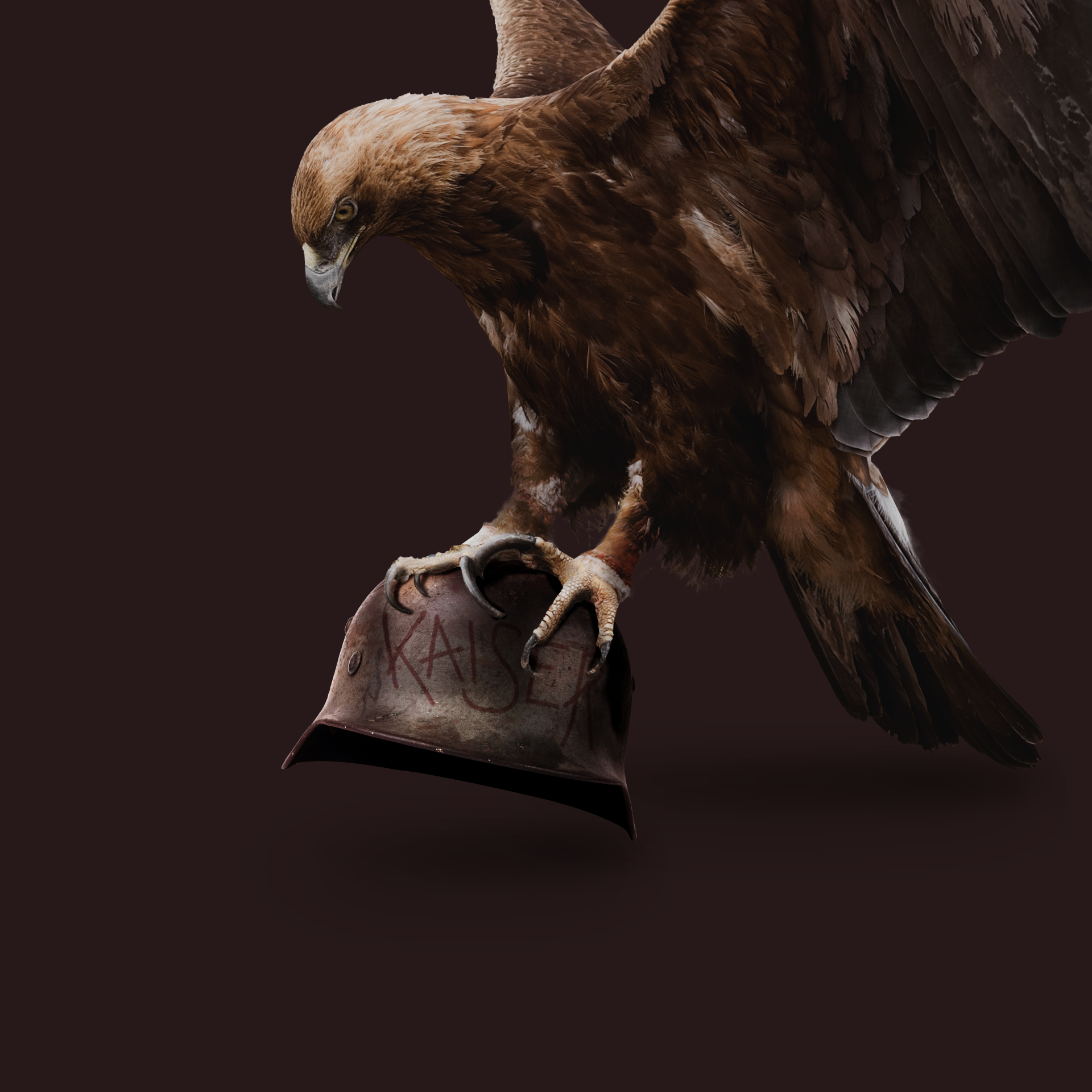 TDTGroupF2.png