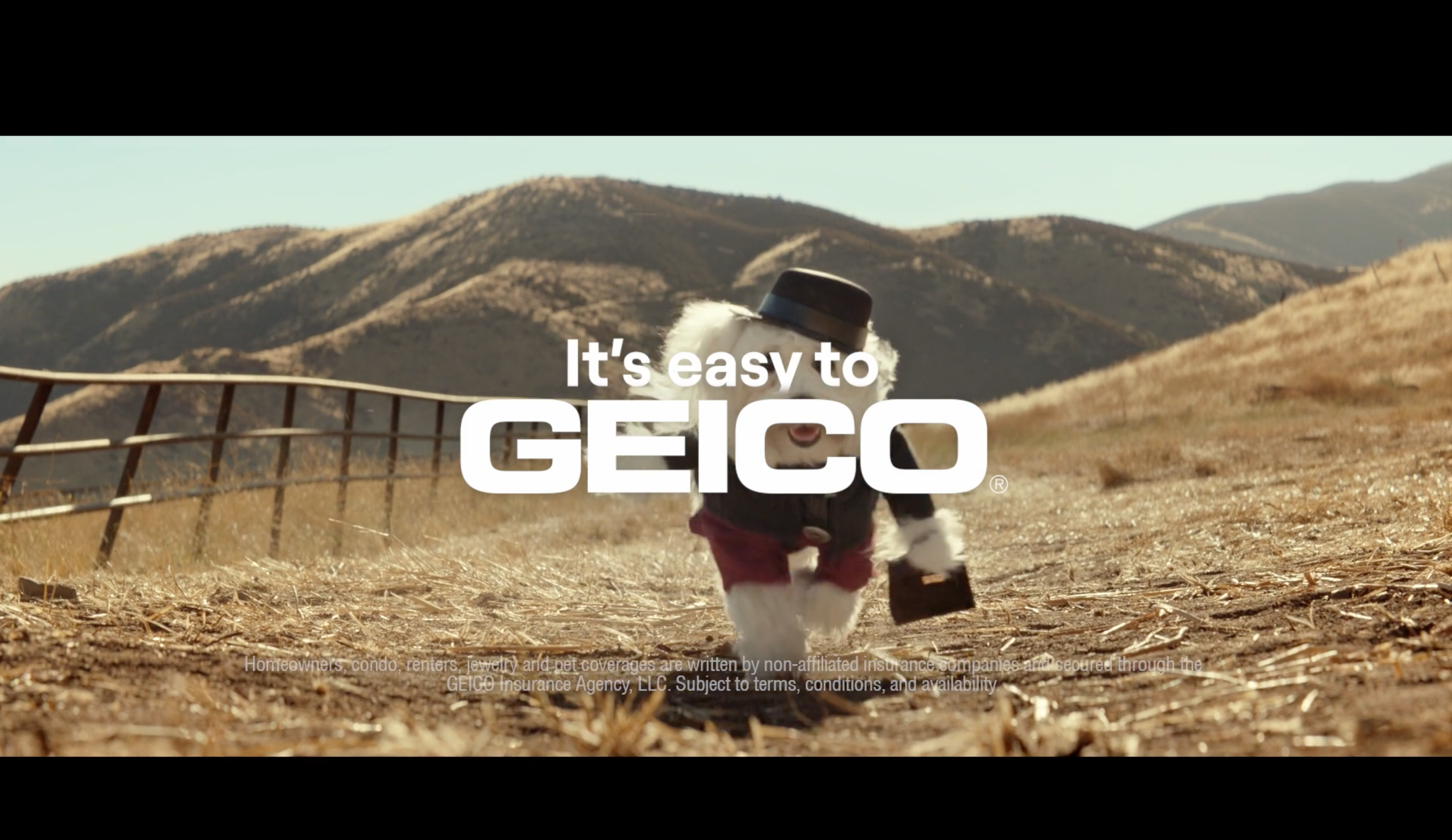 GEICO WESTERN