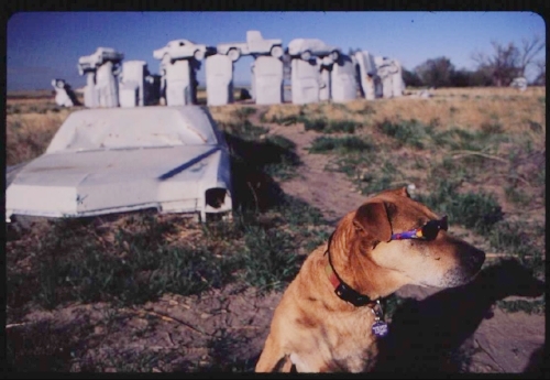 winniecarhenge-2.jpg
