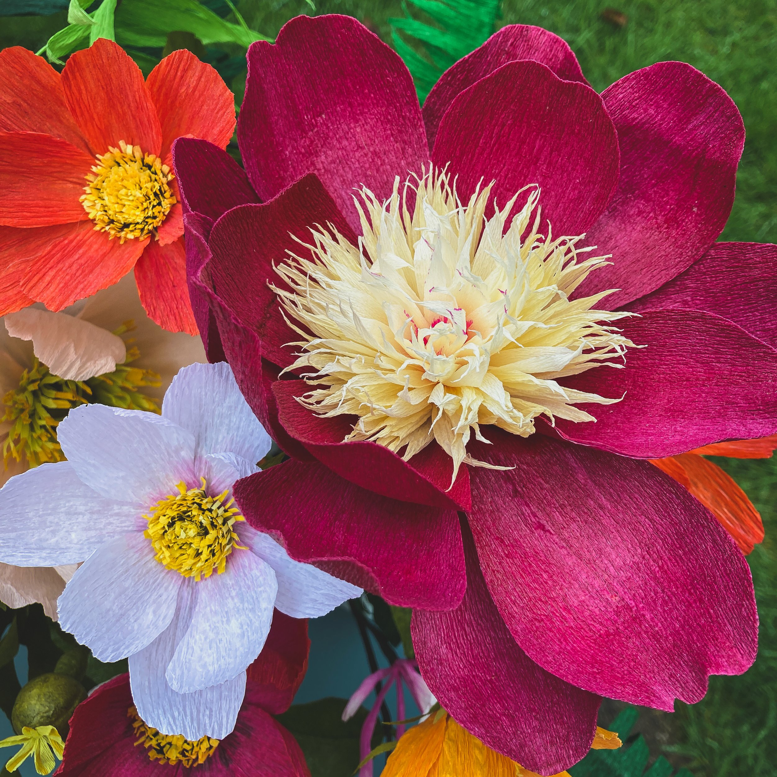 cosmos & japanese form peony