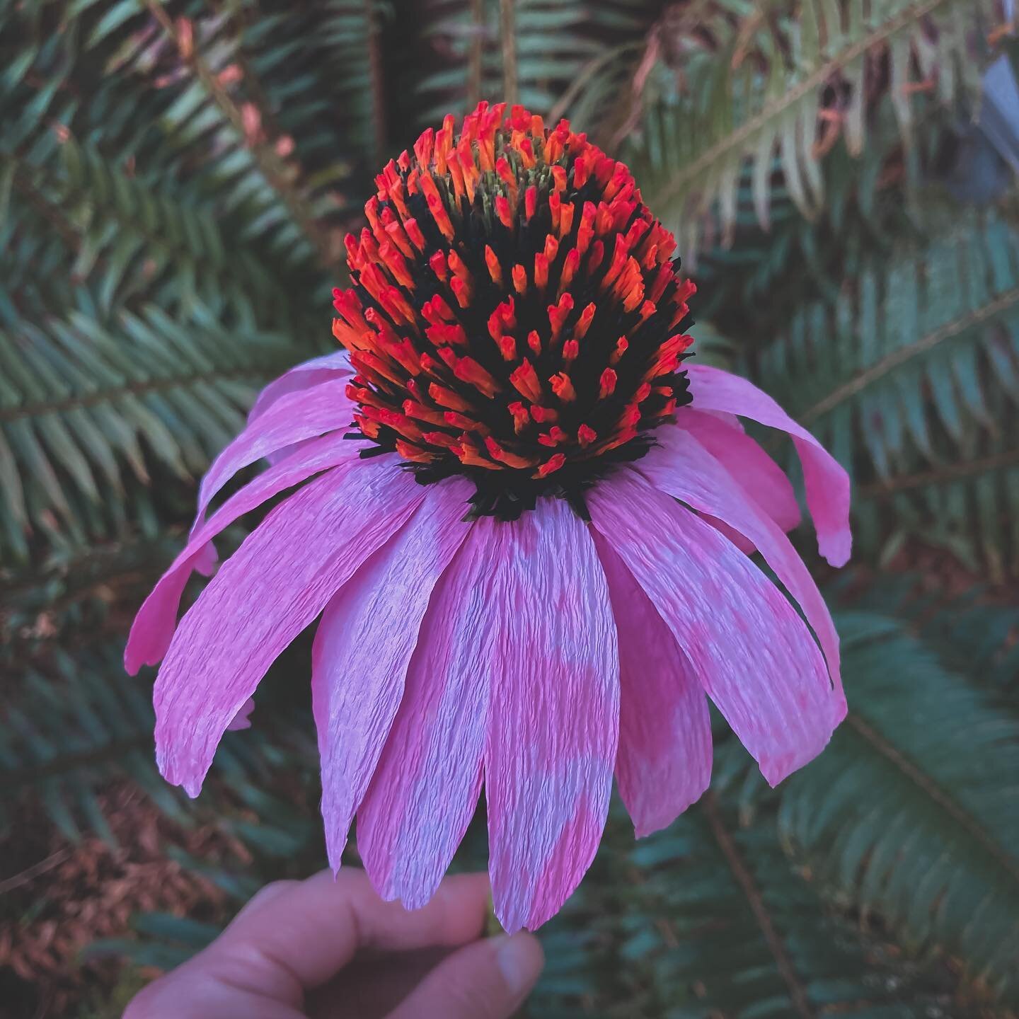 Another echinacea complete. The pink on this paper was extracted from the magenta paper I used for the last flower I made. I kinda made this one up as I went but used techniques and petal templates from The Fine Art of Paper Flowers by @tiffanieturne