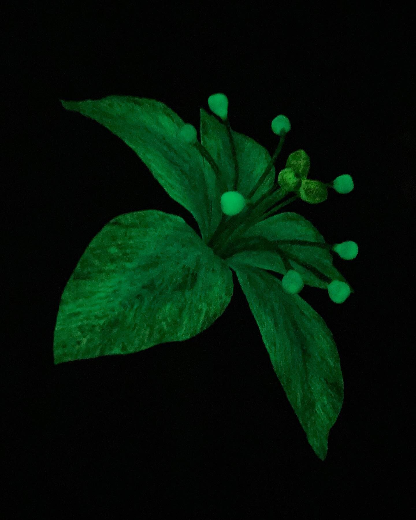 In honor of finally beating Breath of the Wild last week, I made a glow in the dark Silent Princess flower. There are a few things I would like to tweak on the next one but I&rsquo;m pretty happy with my prototype after just kinda winging it this wee