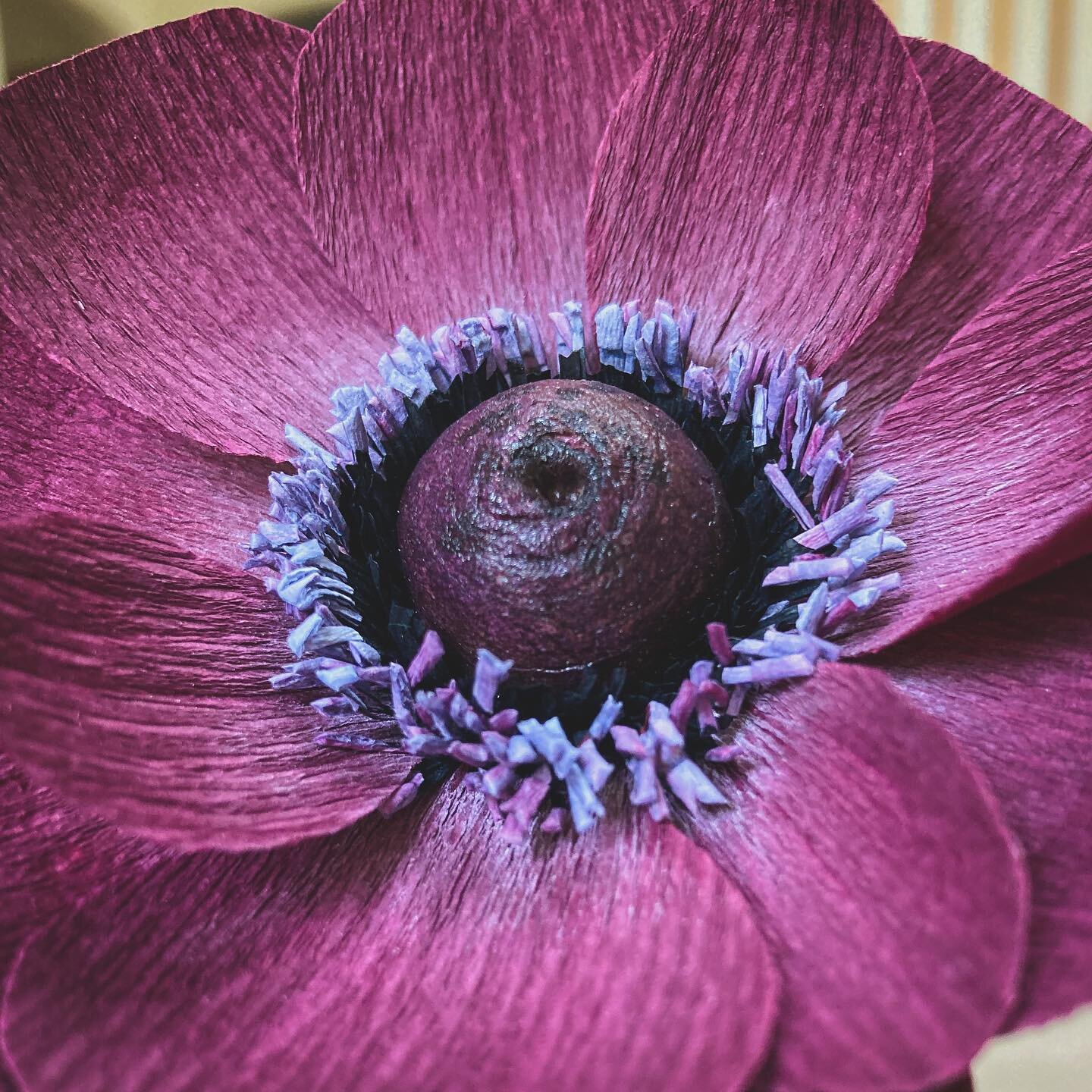 Working on some purple anemones for my mama. My mom&rsquo;s favorite color has always been purple. 

Another German doublette project. @flowers_by_staufenwerola. Dug up some of @pinkandposey&rsquo;s anemone templates from #AwesomeBlossom last year. I