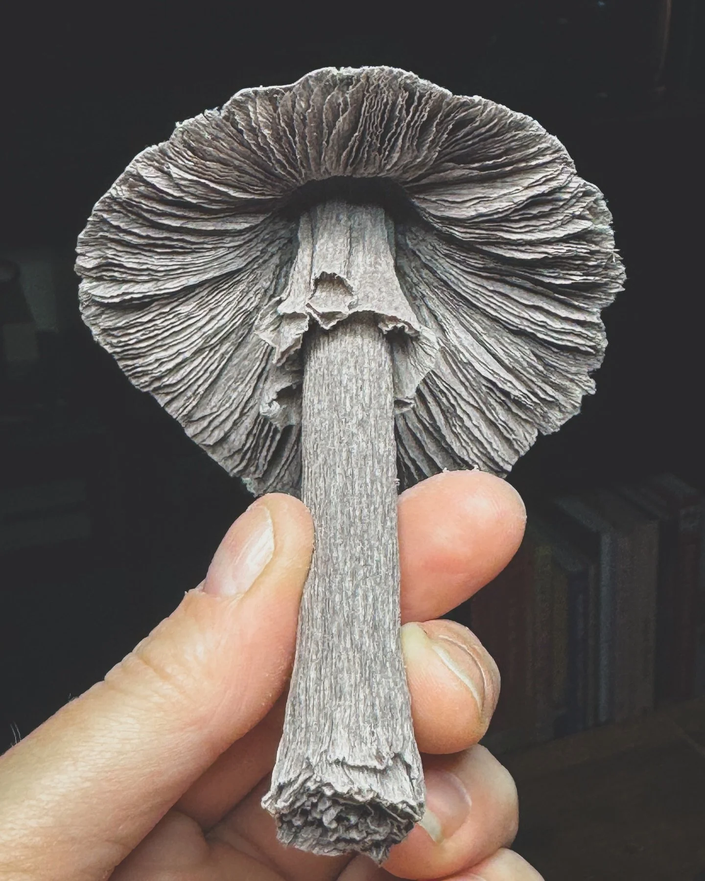 My first paper mushroom! 

I used an old tutorial from @pinkandposey&rsquo;s Posey Box and added a string to make it a tree ornament.