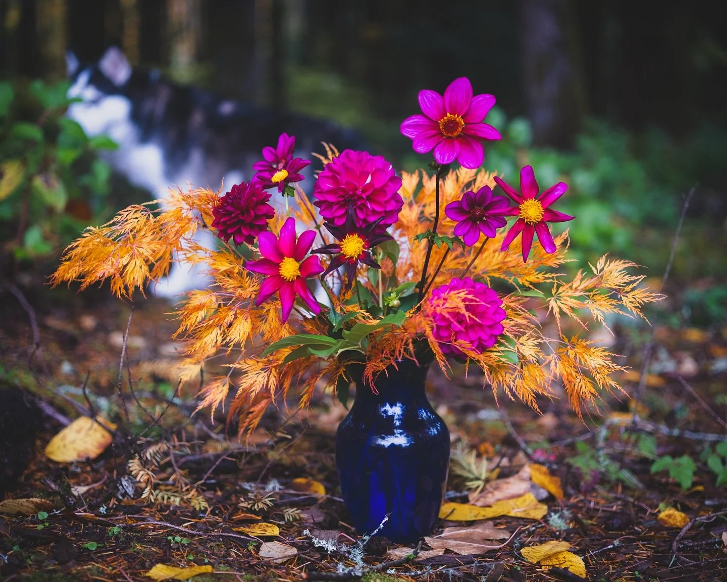 Possibly my last bouquet from my yard this year (😭) and also my favorite. First time incorporating some other bits from the yard outside of the garden. Most of the dahlias are my own seedlings, but 3 are named varieties. Shout out to my favorite pho