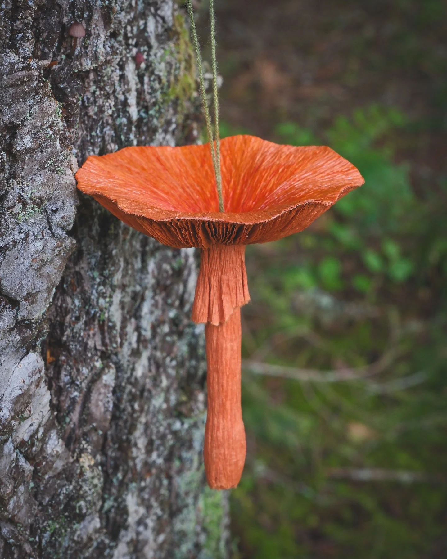 Finished my 3rd paper mushroom. The second one didn&rsquo;t get a proper photoshoot before it was gifted. Making another white one now.