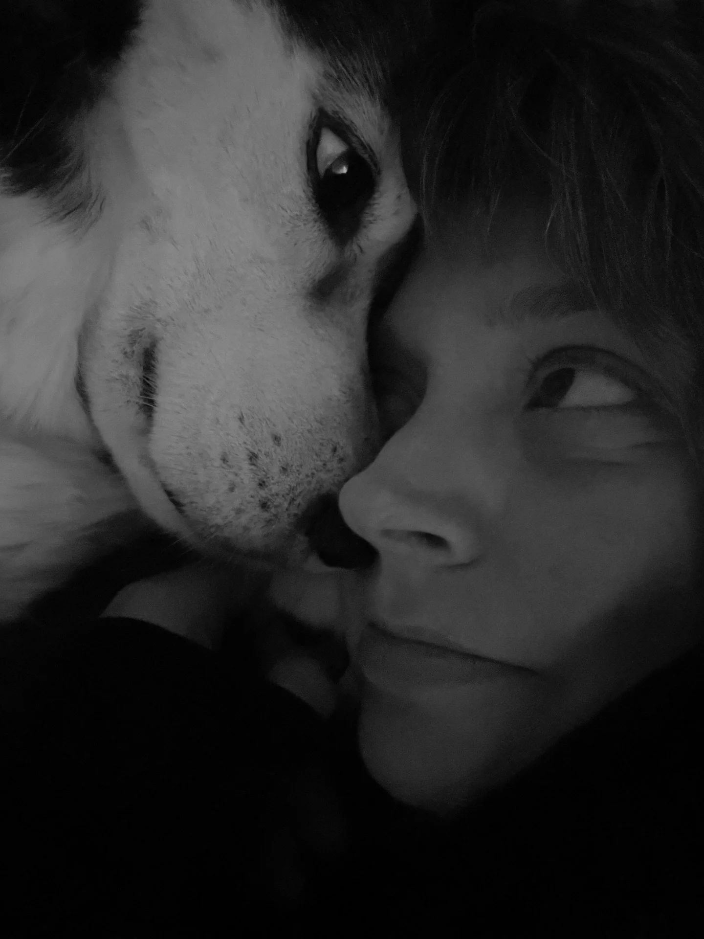 I will never love anything as much as I have loved and will continue to love Rory. 

There were complications after her liver lobectomy and she died earlier today. I am devastated. 

11 years of good days, and one really, really bad one. Not what I w