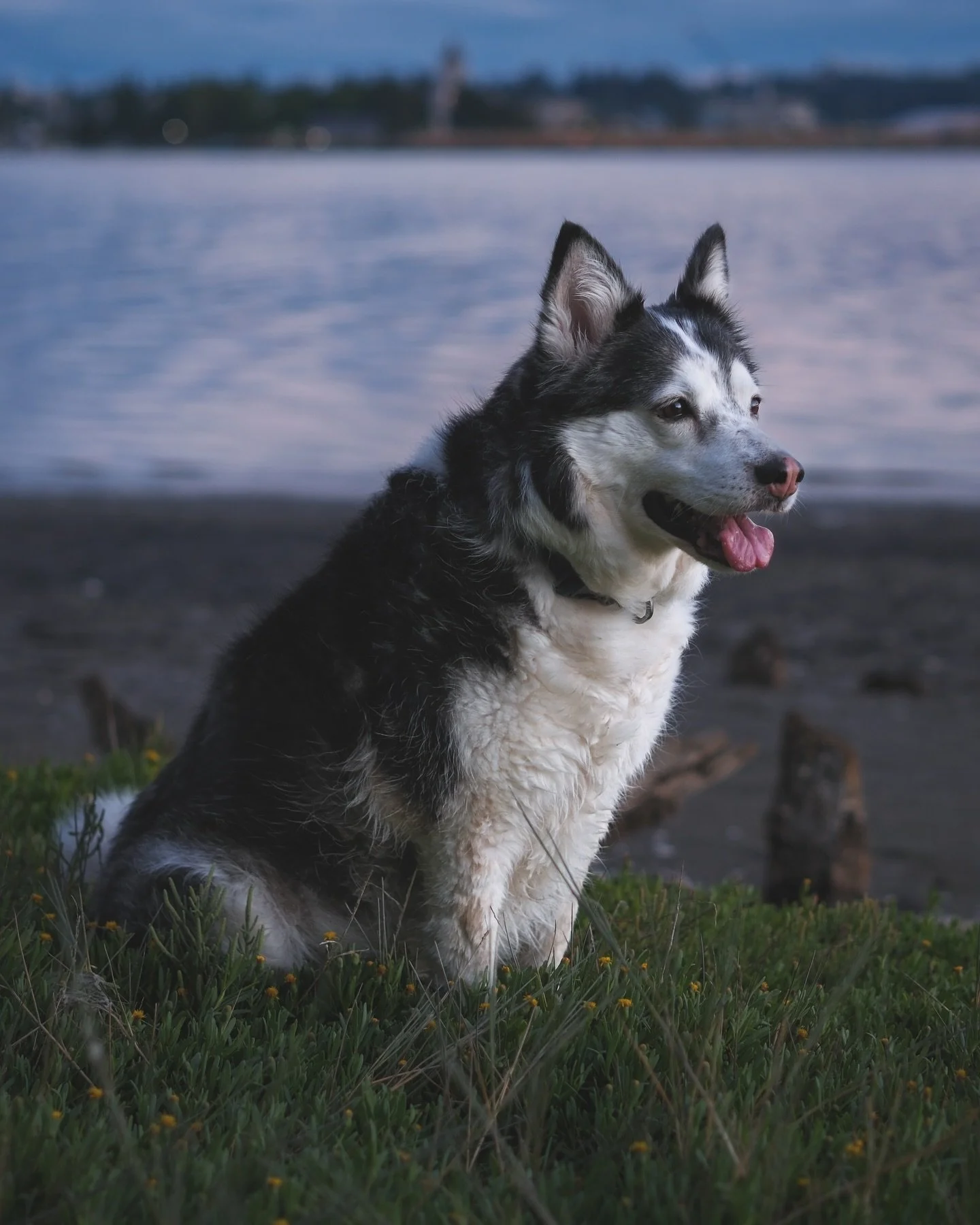 Thank you to everyone who has messaged me over the last few days. It&rsquo;s been difficult to reply to them all but know that if I haven&rsquo;t replied it still means a lot to me. I&rsquo;m so glad my love for Rory was apparent to so many people ac