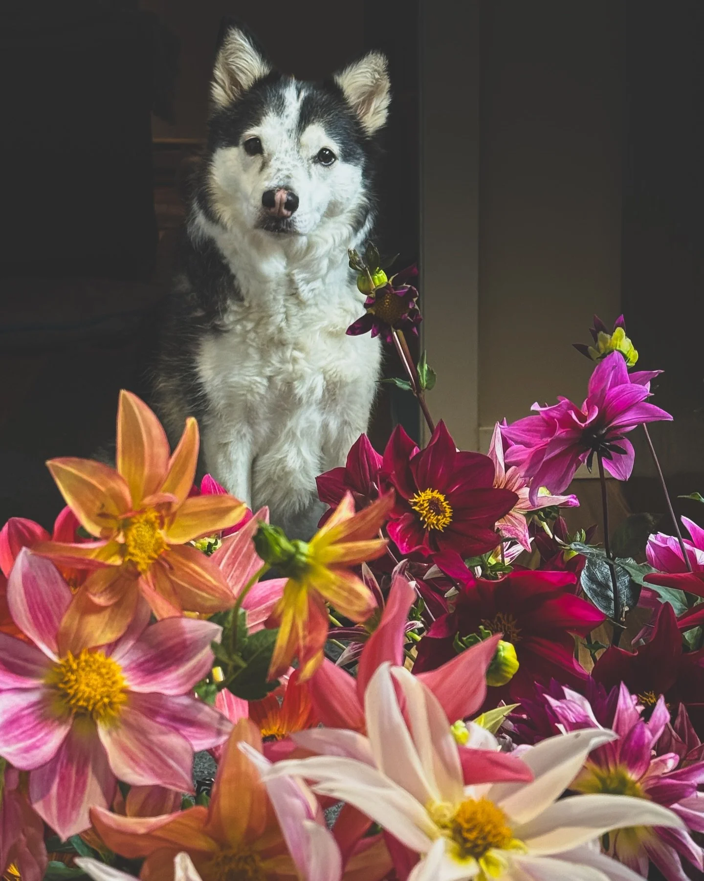 I think about Rory every minute of every day.