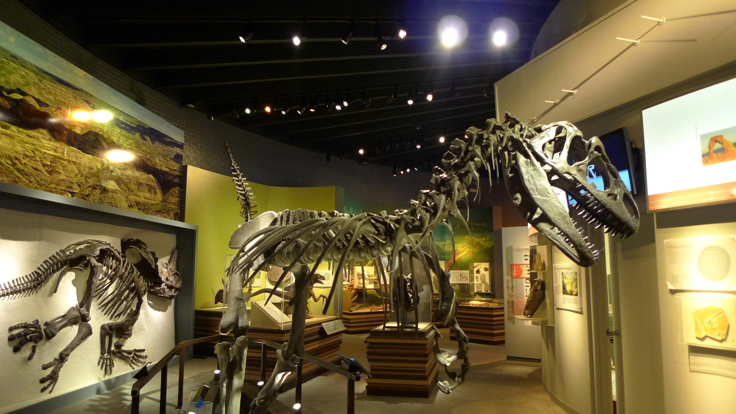 6 Raymond Alp Museum of Paleontology.JPG