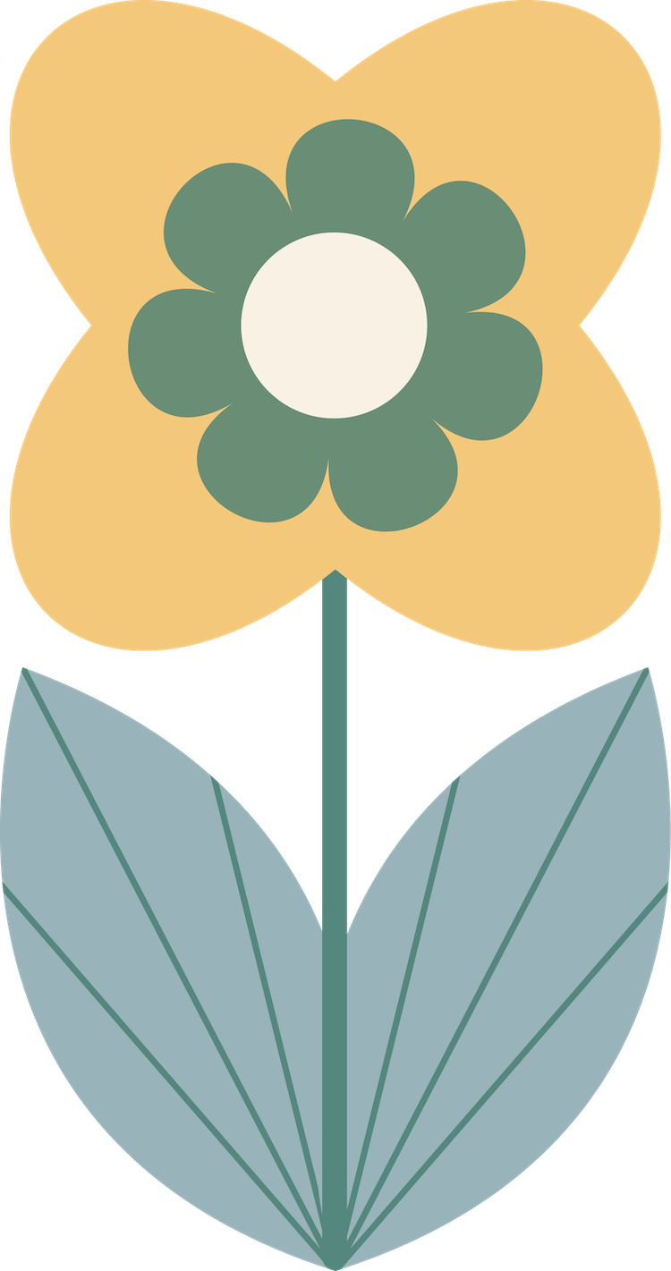 Holistic mentoring and support - both online and in person