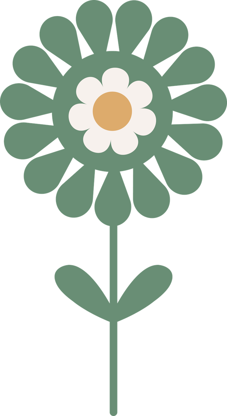 Birth preparation and companion support