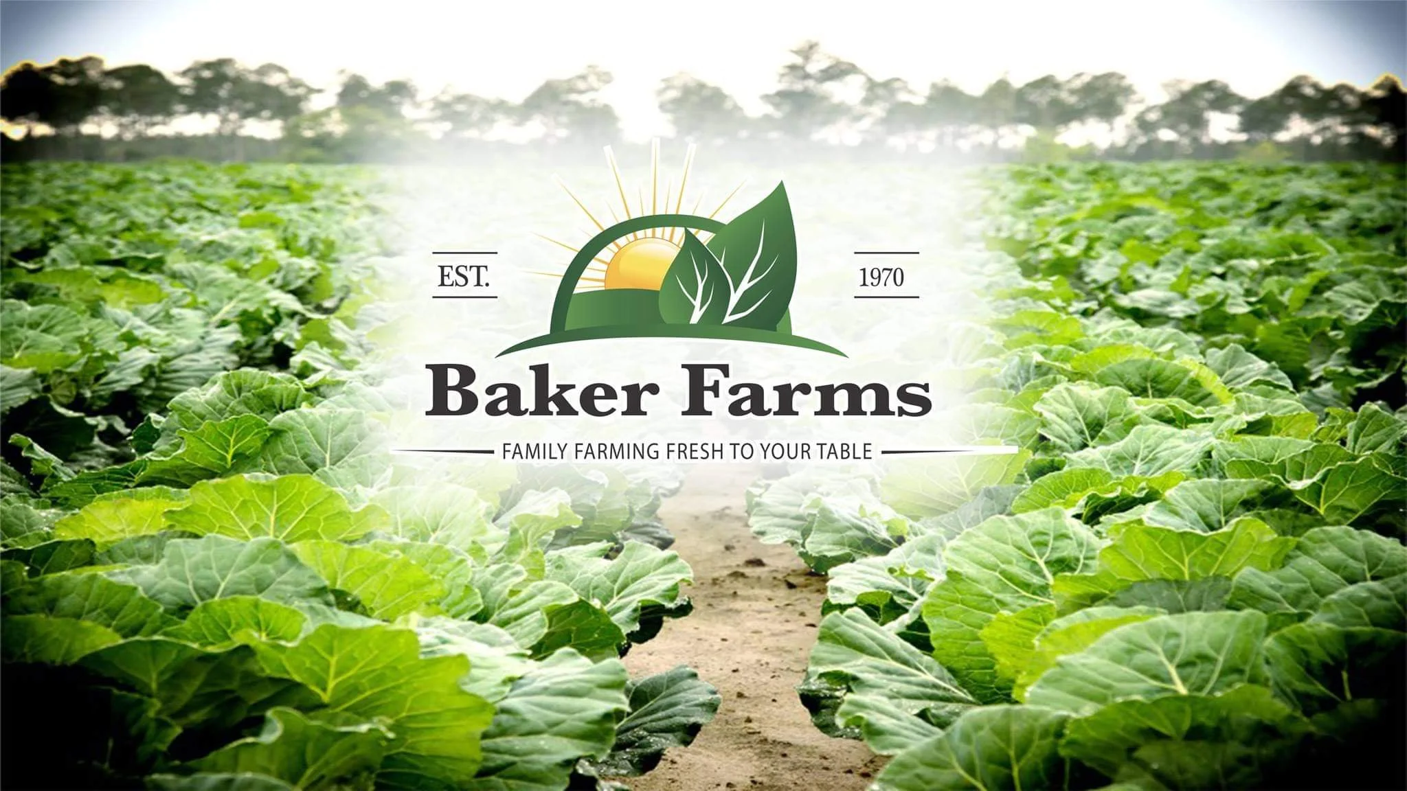 Chef Christan Willis x Kroger ATL Fall With Baker Farms 