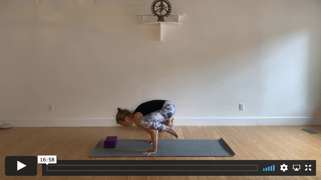 FLY LIKE A BIRD WITH FRANCES