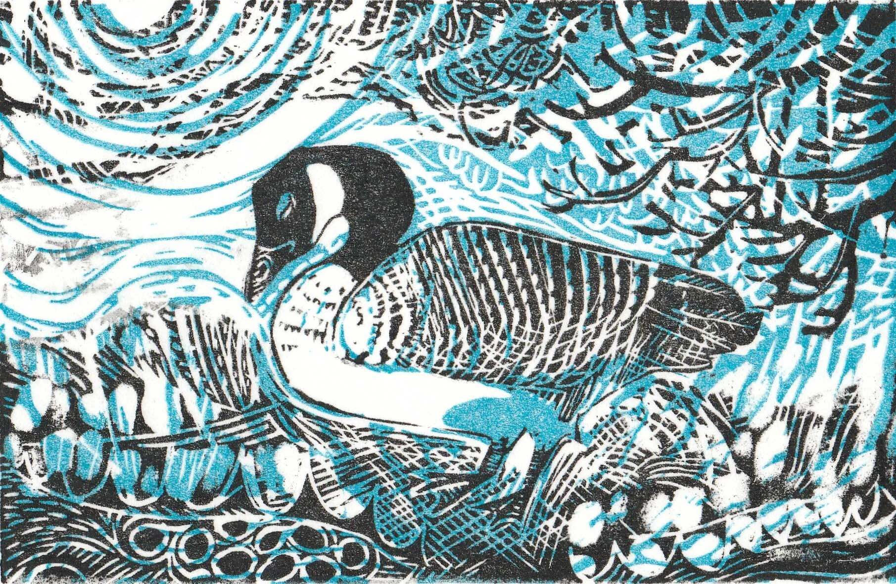 Canada Goose linocut Cat Moore bird wetland woodland black blue white
