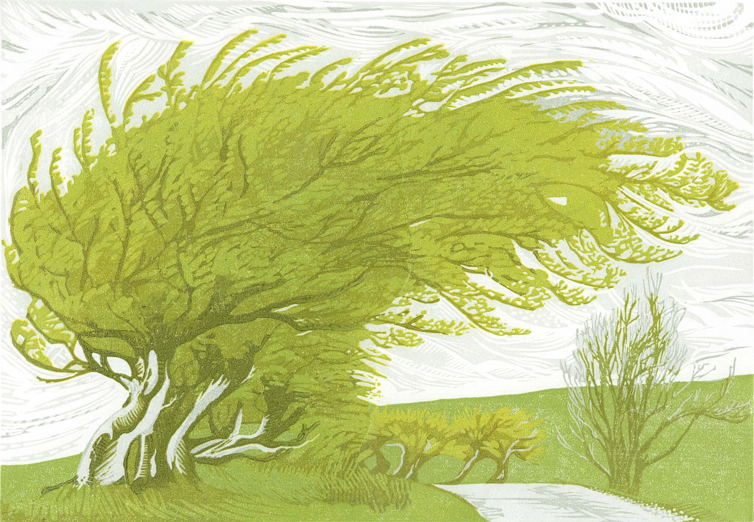 Windswept linocut Cat Moore reduction print northumberland beech hedge green trees