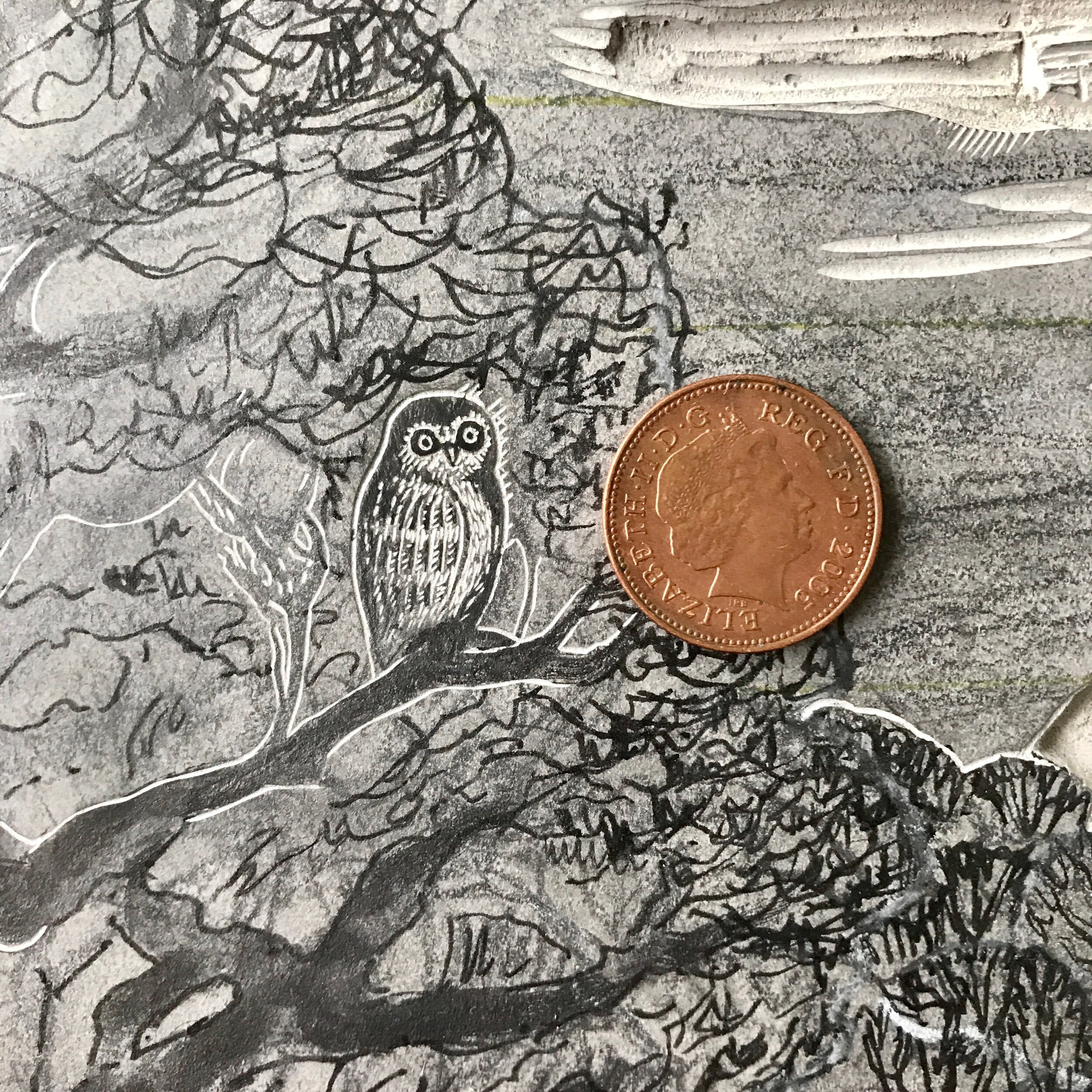Owl and penny 