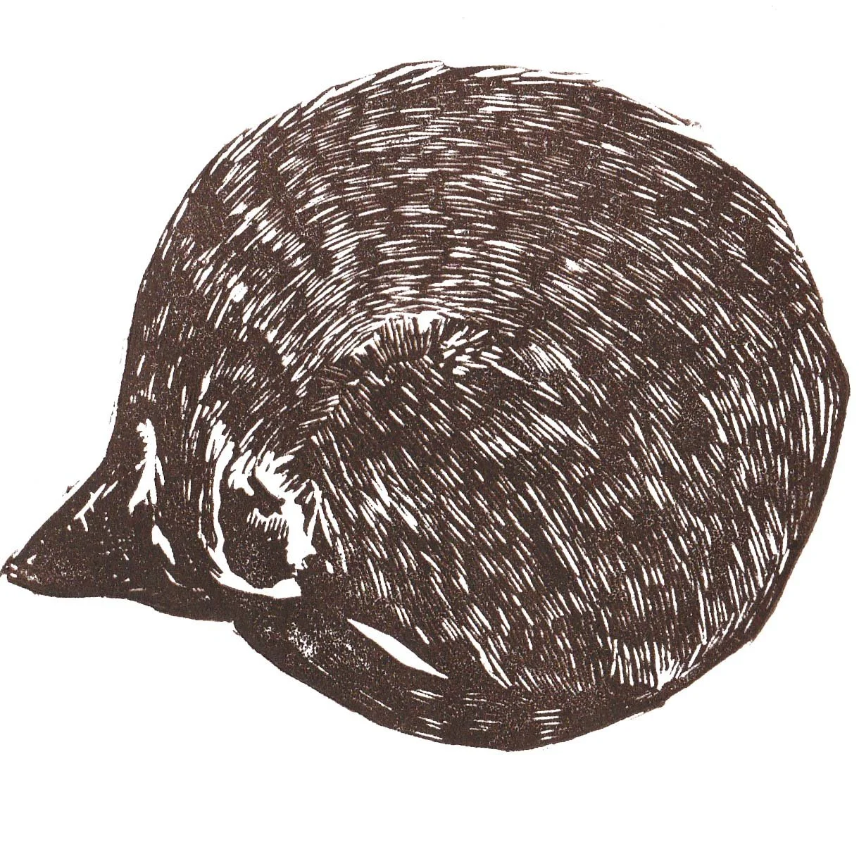 Meg the Mog linocut Cat Moore single block print hope sleeping cat