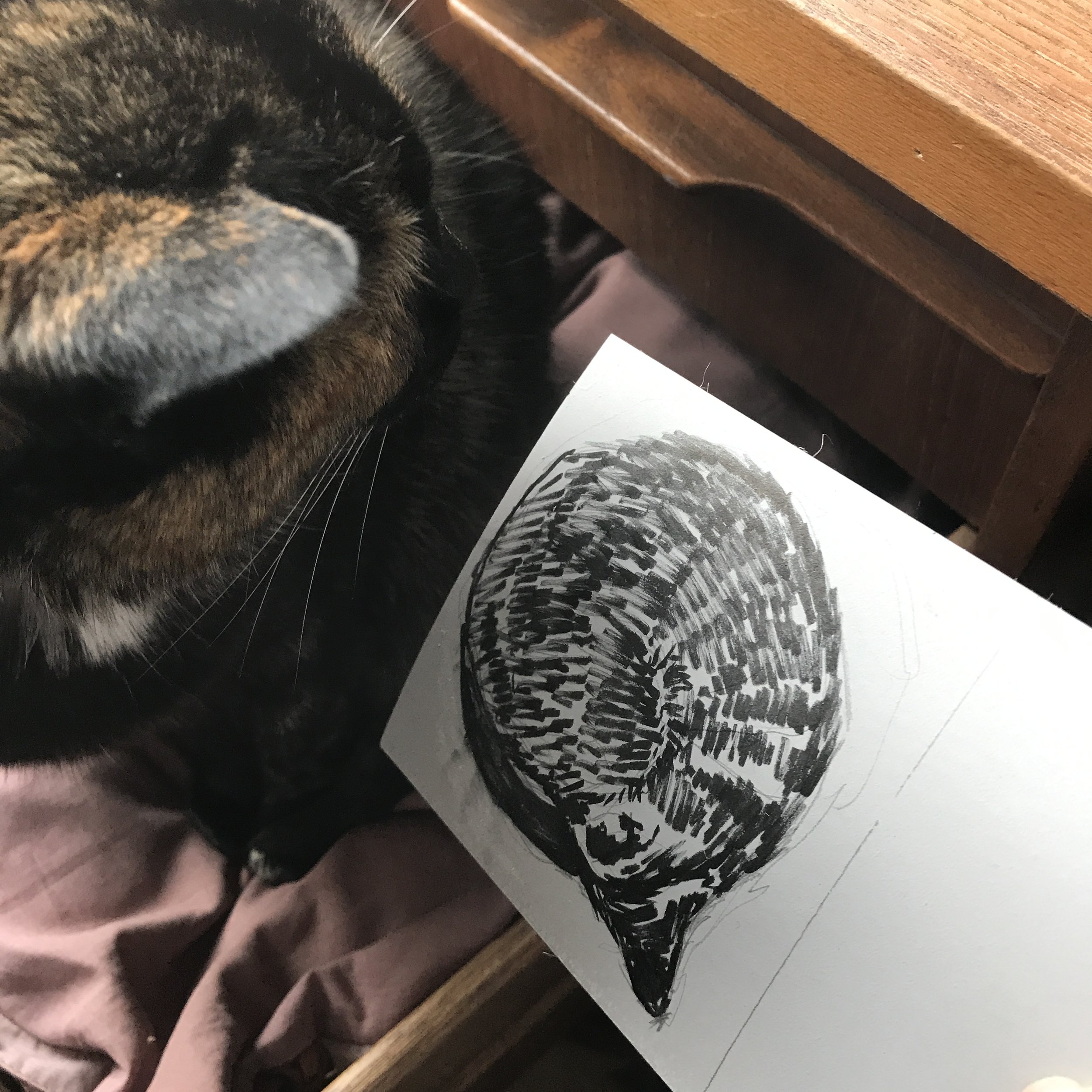 Showing Meg my drawing