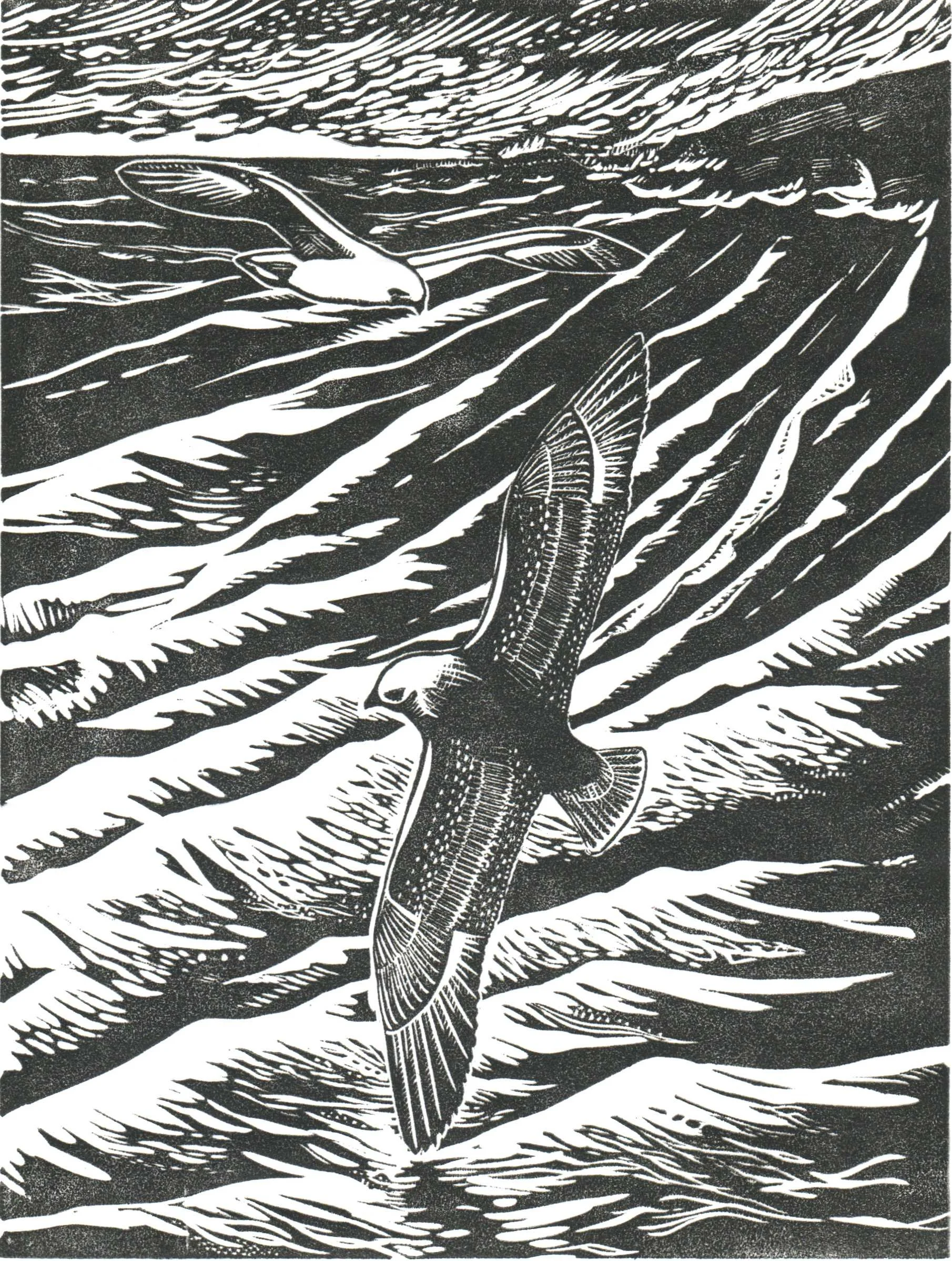 Necessity of Flight.jpg