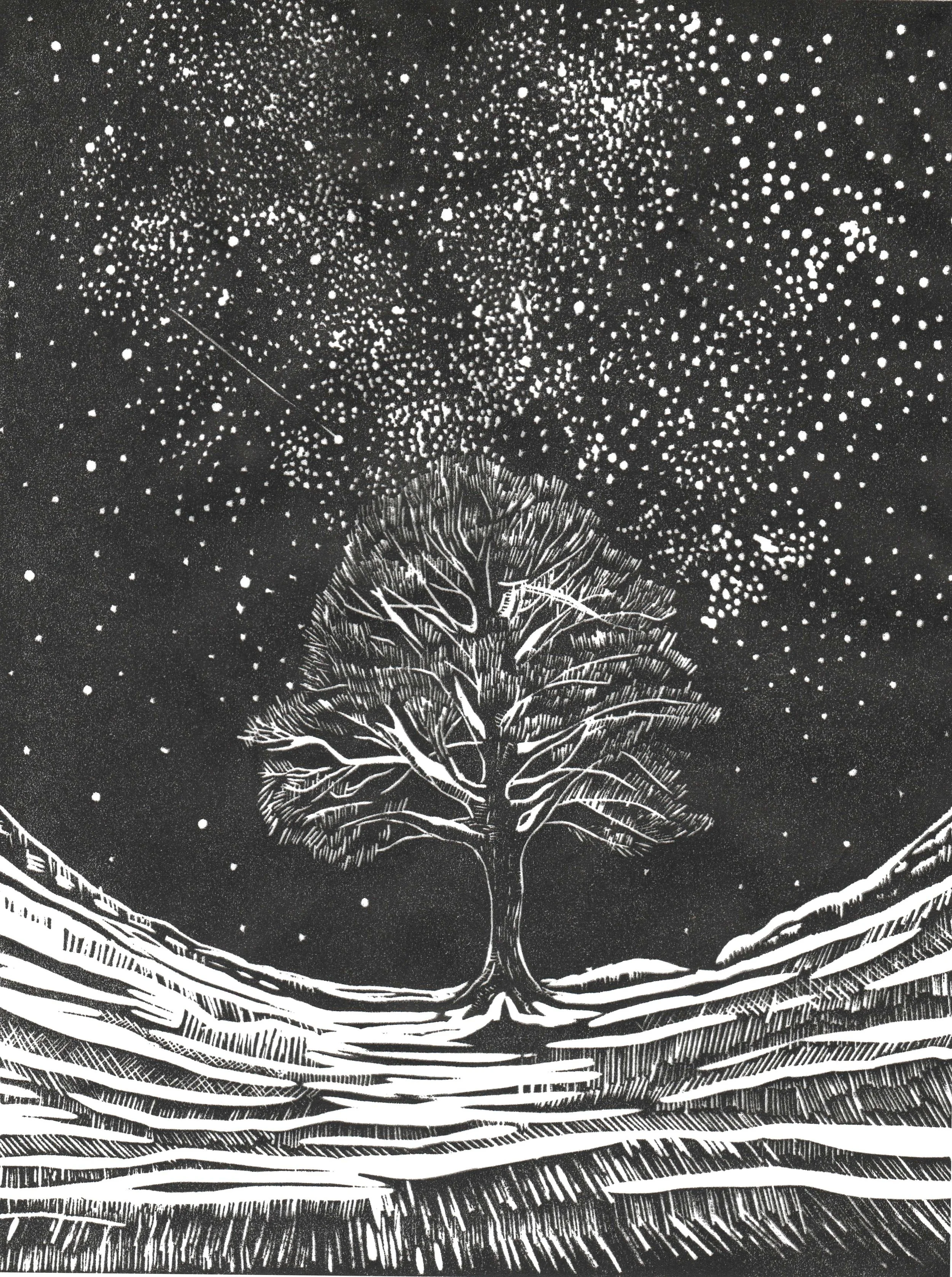 Night Frost, Sycamore Gap.jpg