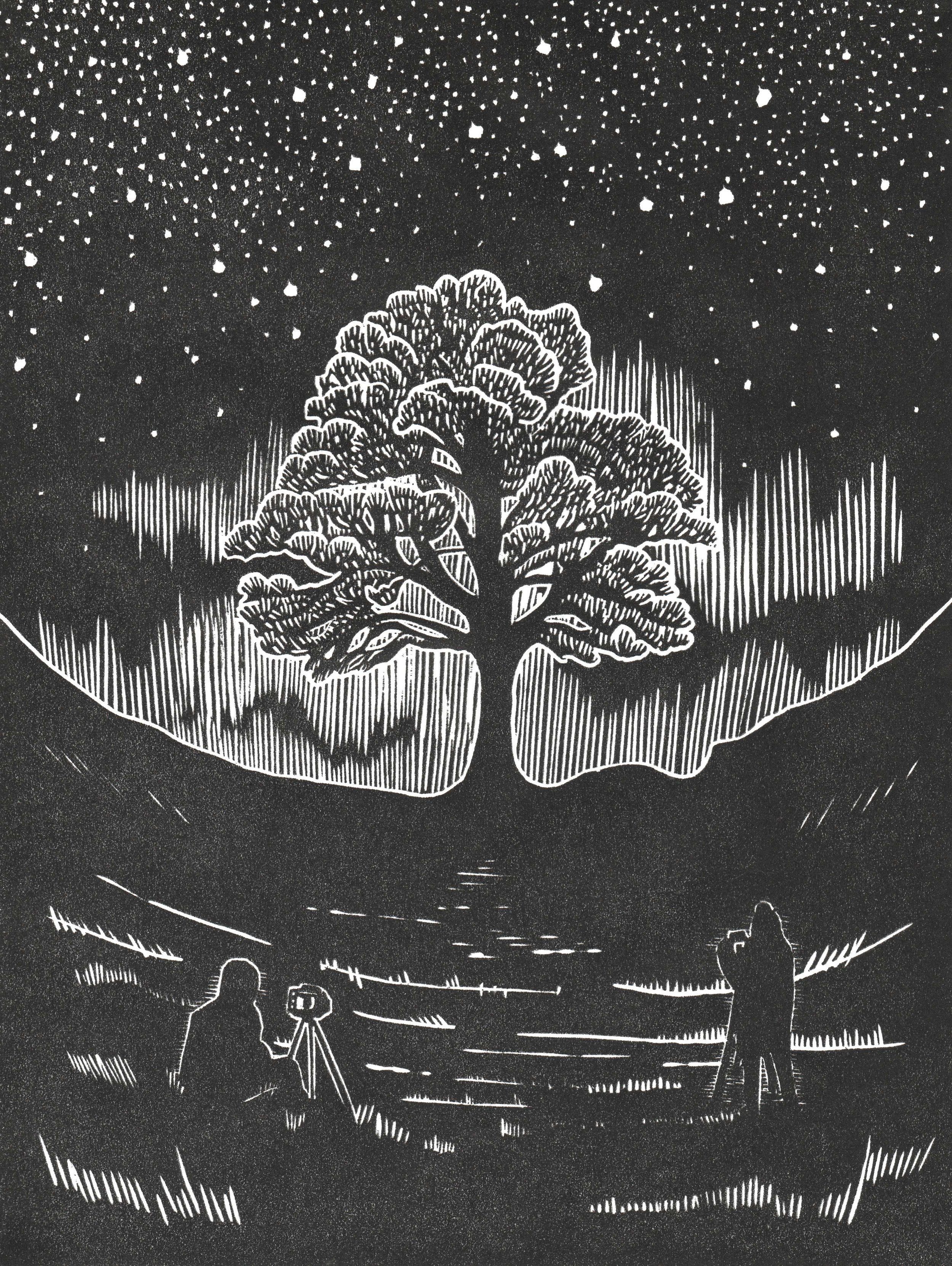 Northern Lights, Sycamore Gap.jpg