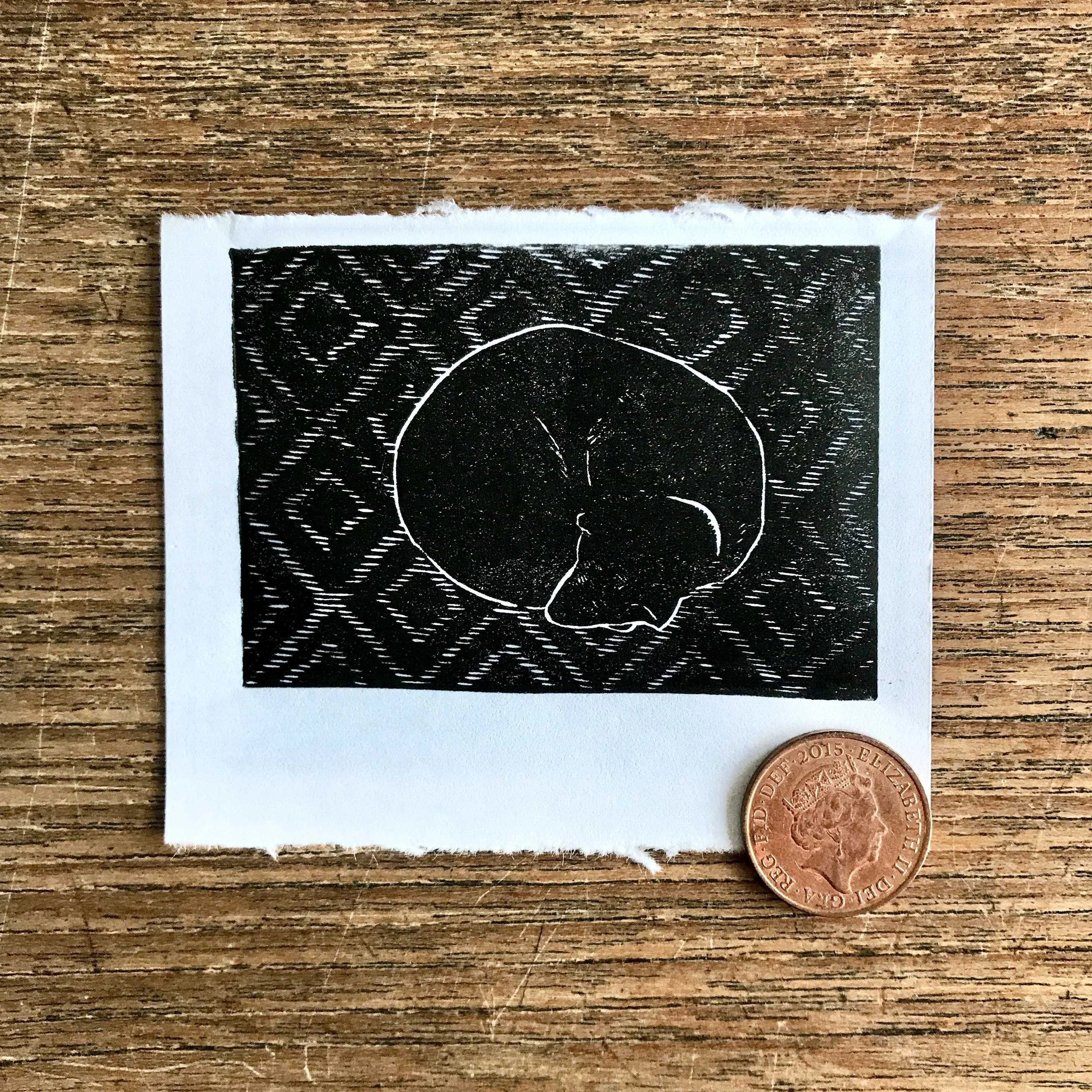 Black Dog small.jpg