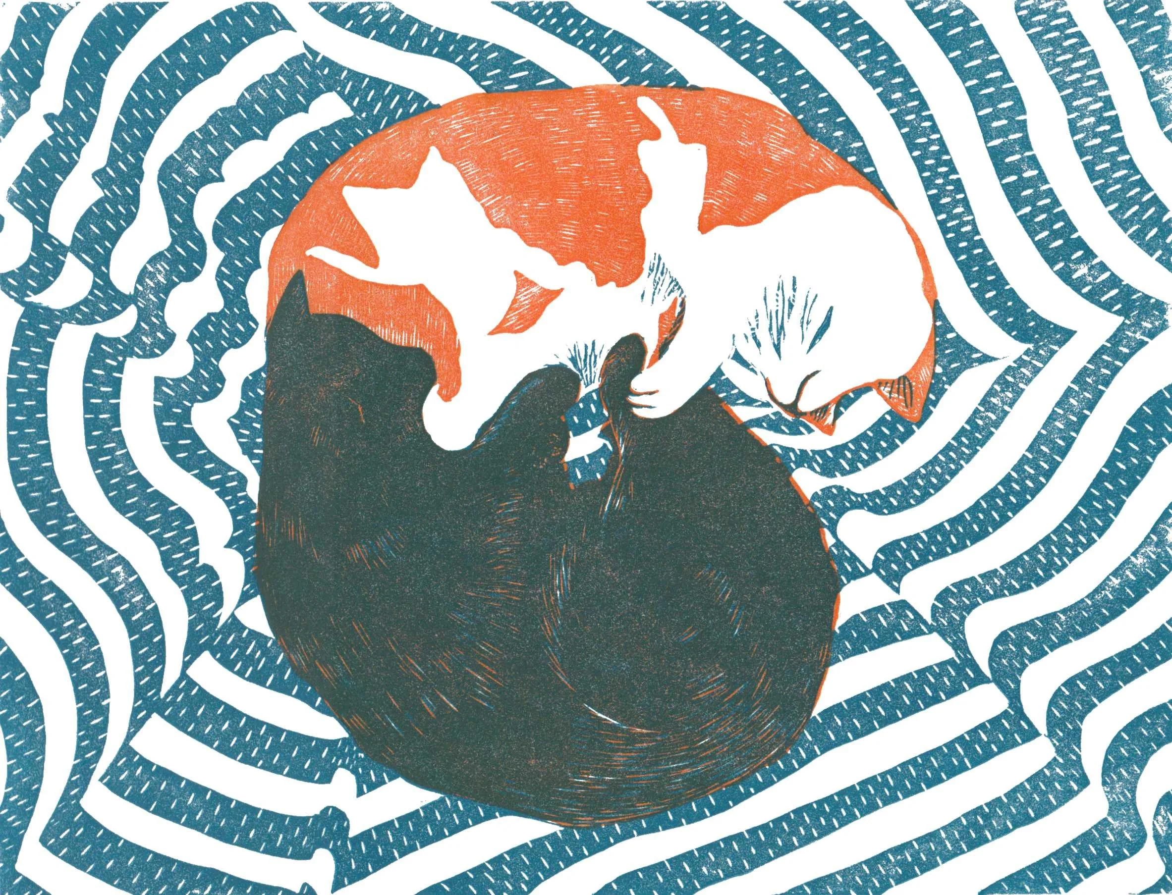 Comfort Blanket small.jpg