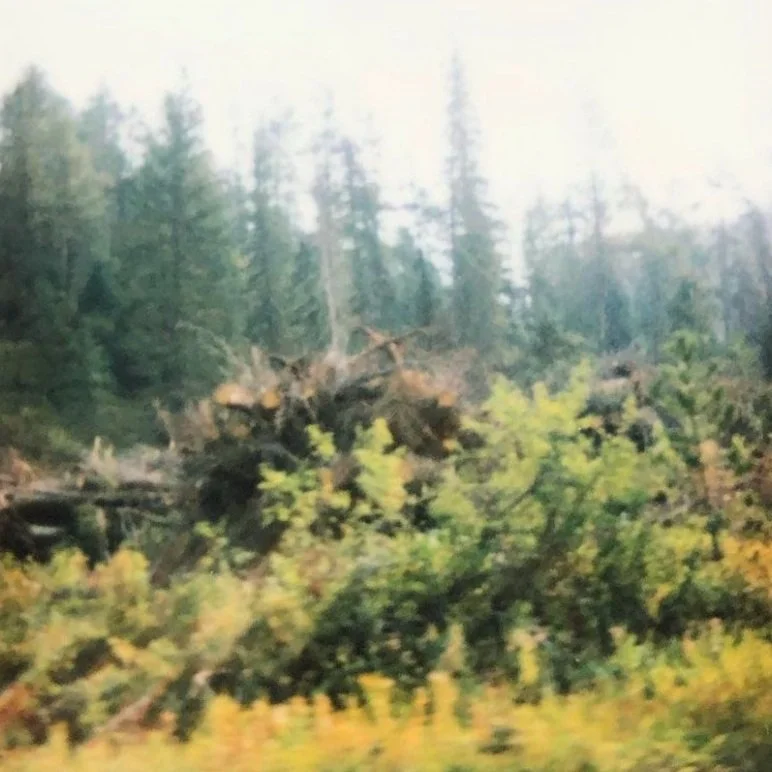 AC Response | Nathaniel Ruleaux