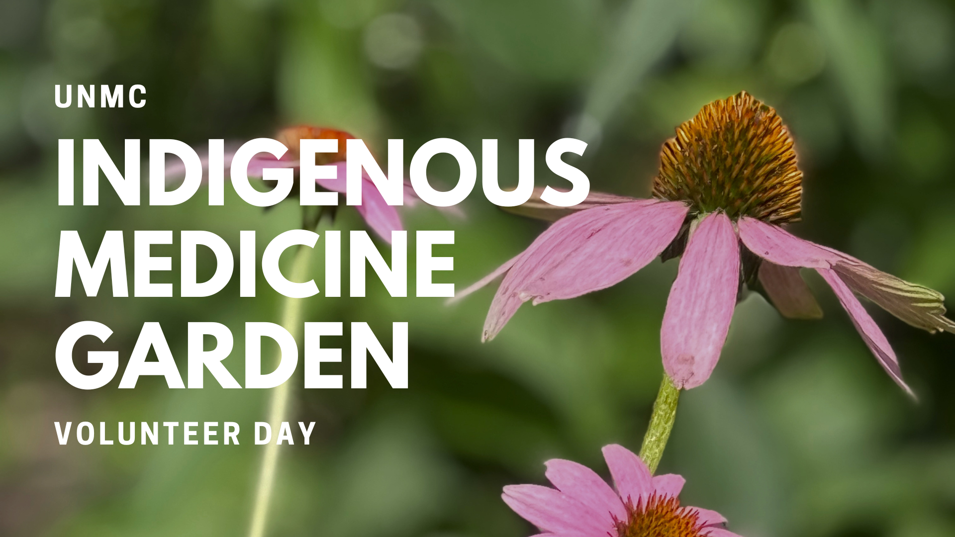 UNMC Indigenous Medicine Garden Planting Day