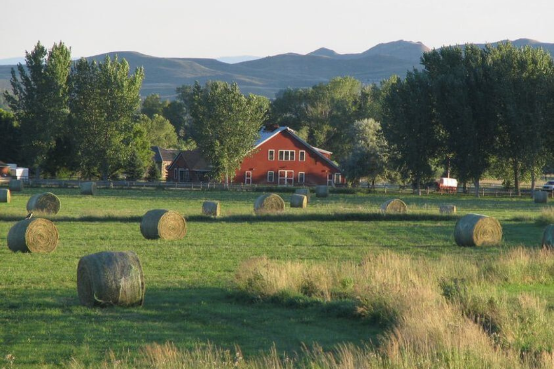 Ucross Fellowship for Native American Artists