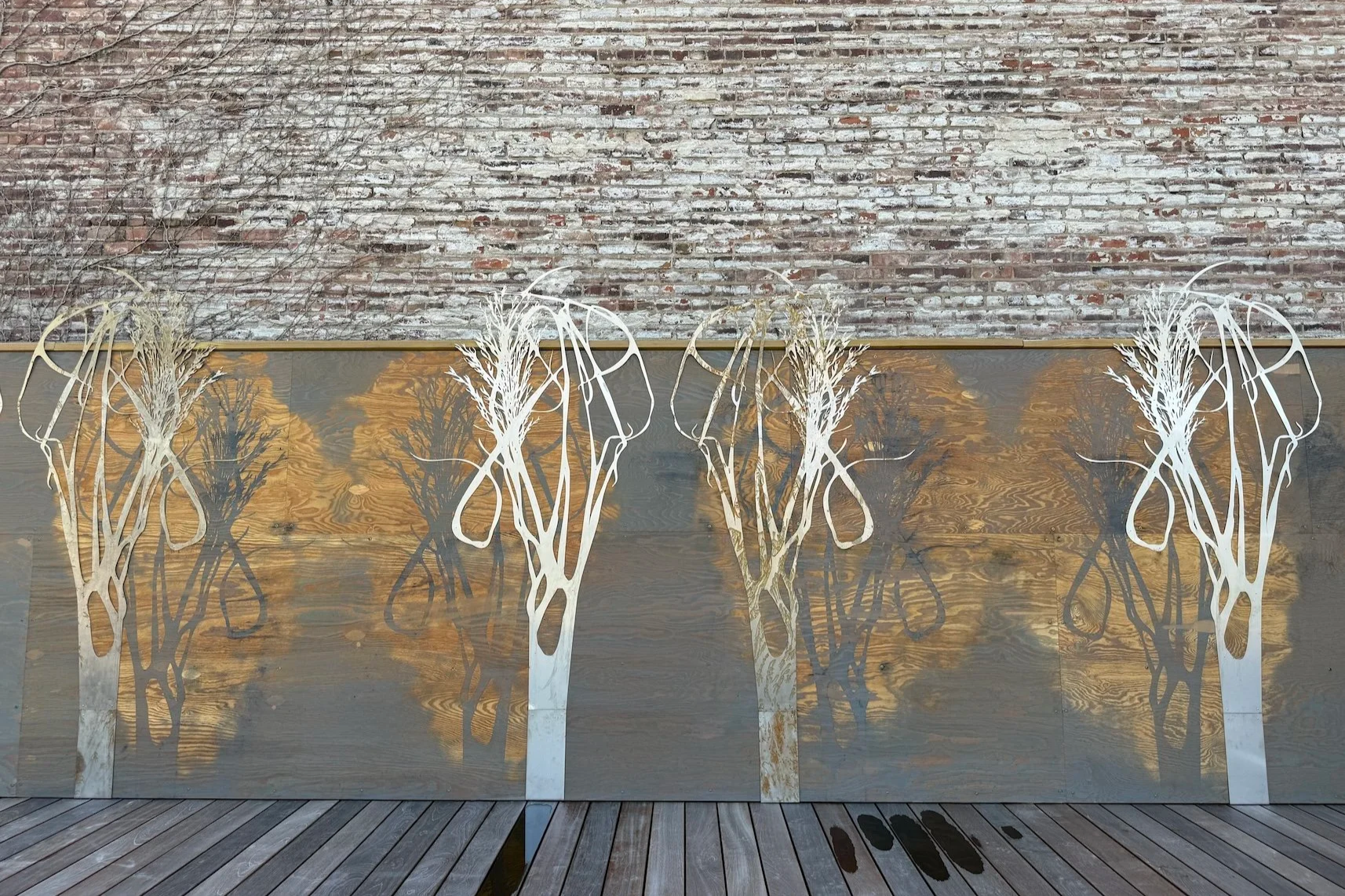 Switchgrass