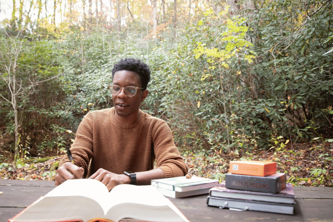 Hambidge Residency