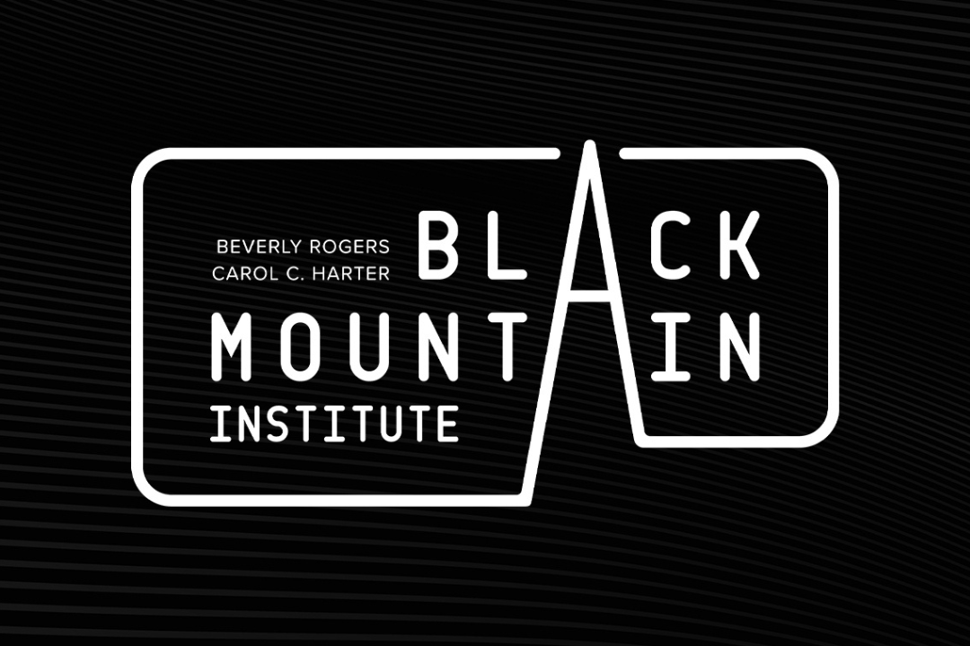 Black Mountain Institute | Shearing Fellowship