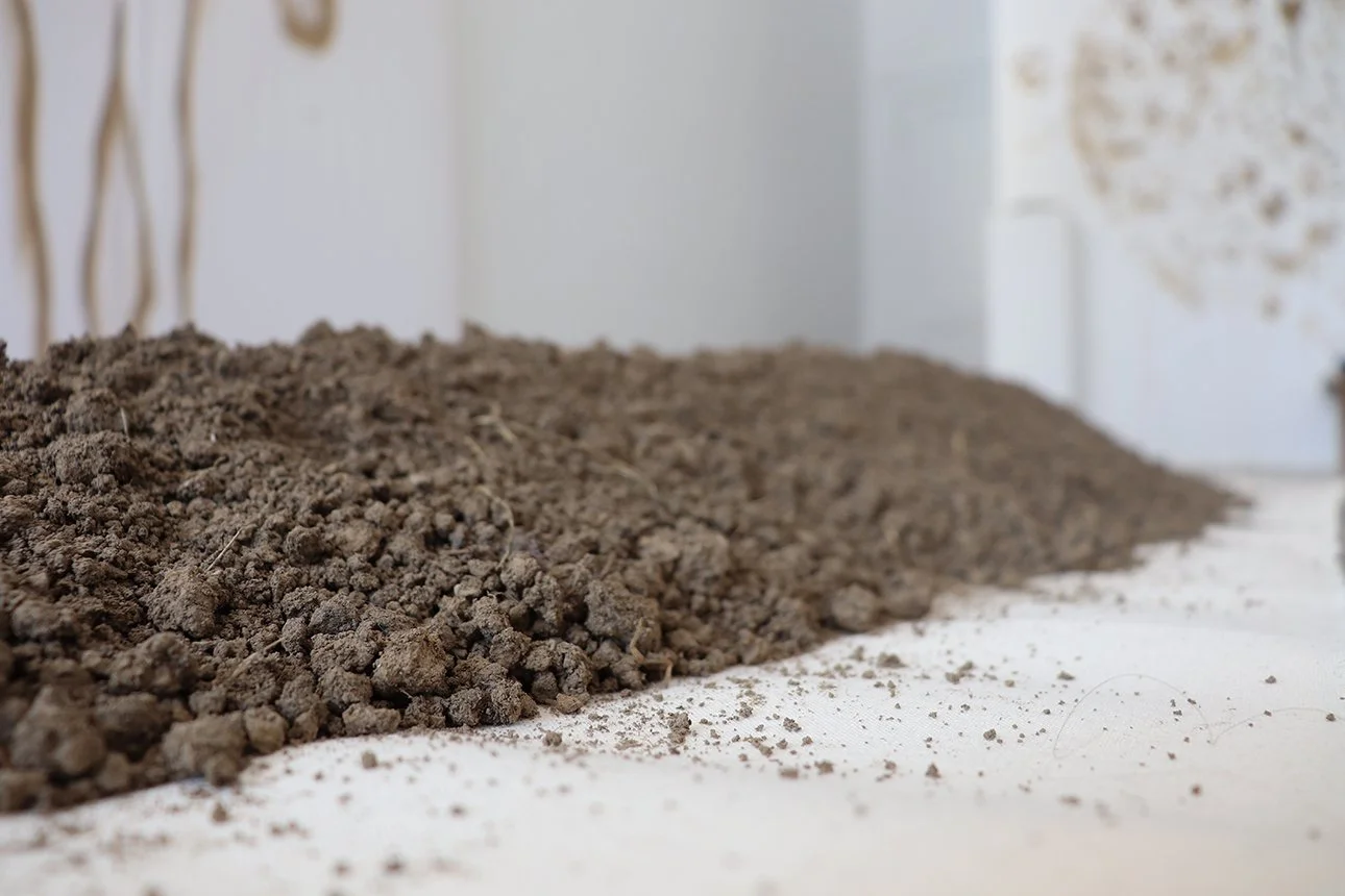 A photograph of a mound of soil resting on a piece of raw canvas laid on the floor of an exhibition space. The close-up detail shows the subtle variation in the soil particulates’ color and size.
