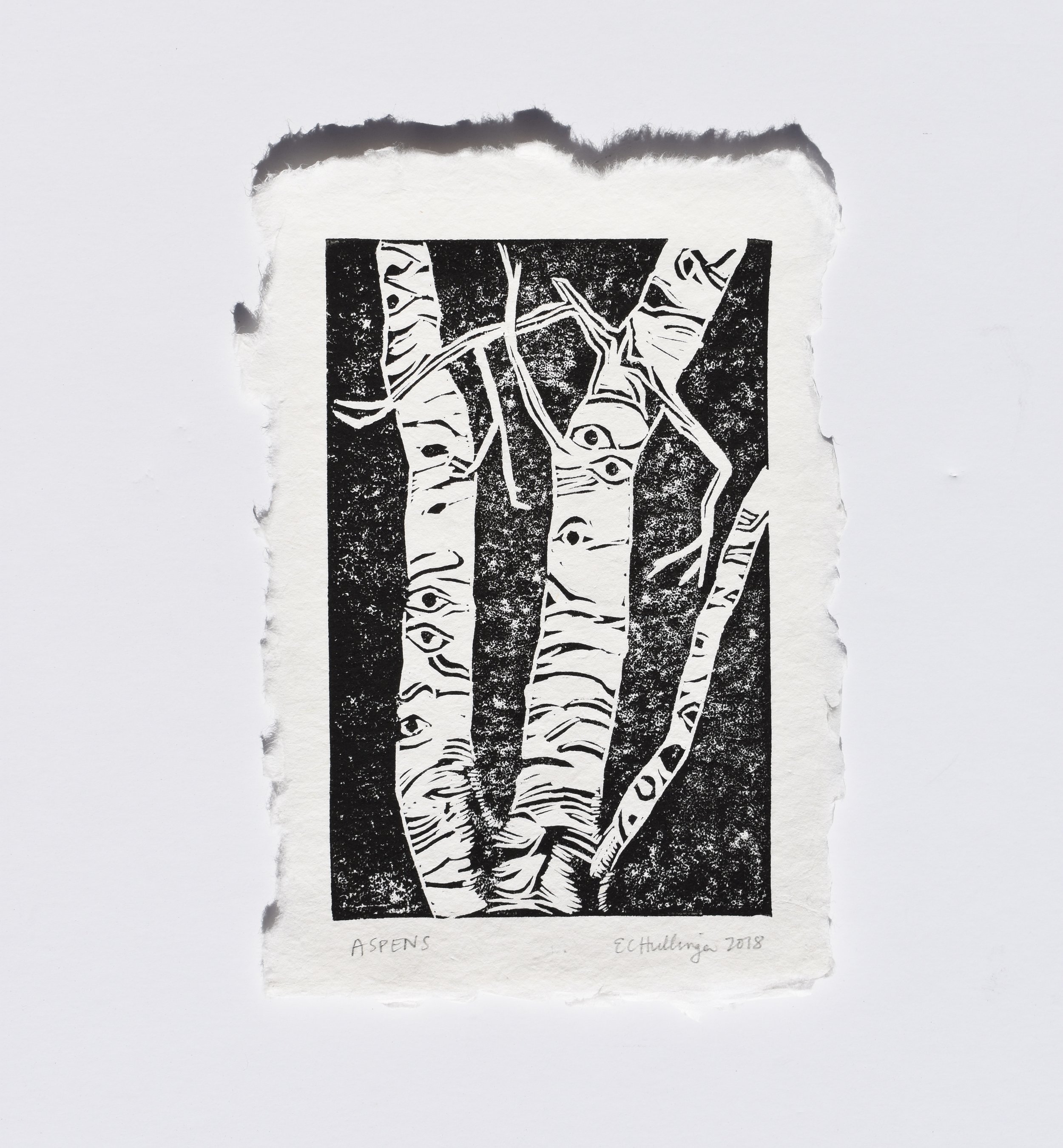 Aspen, 2018