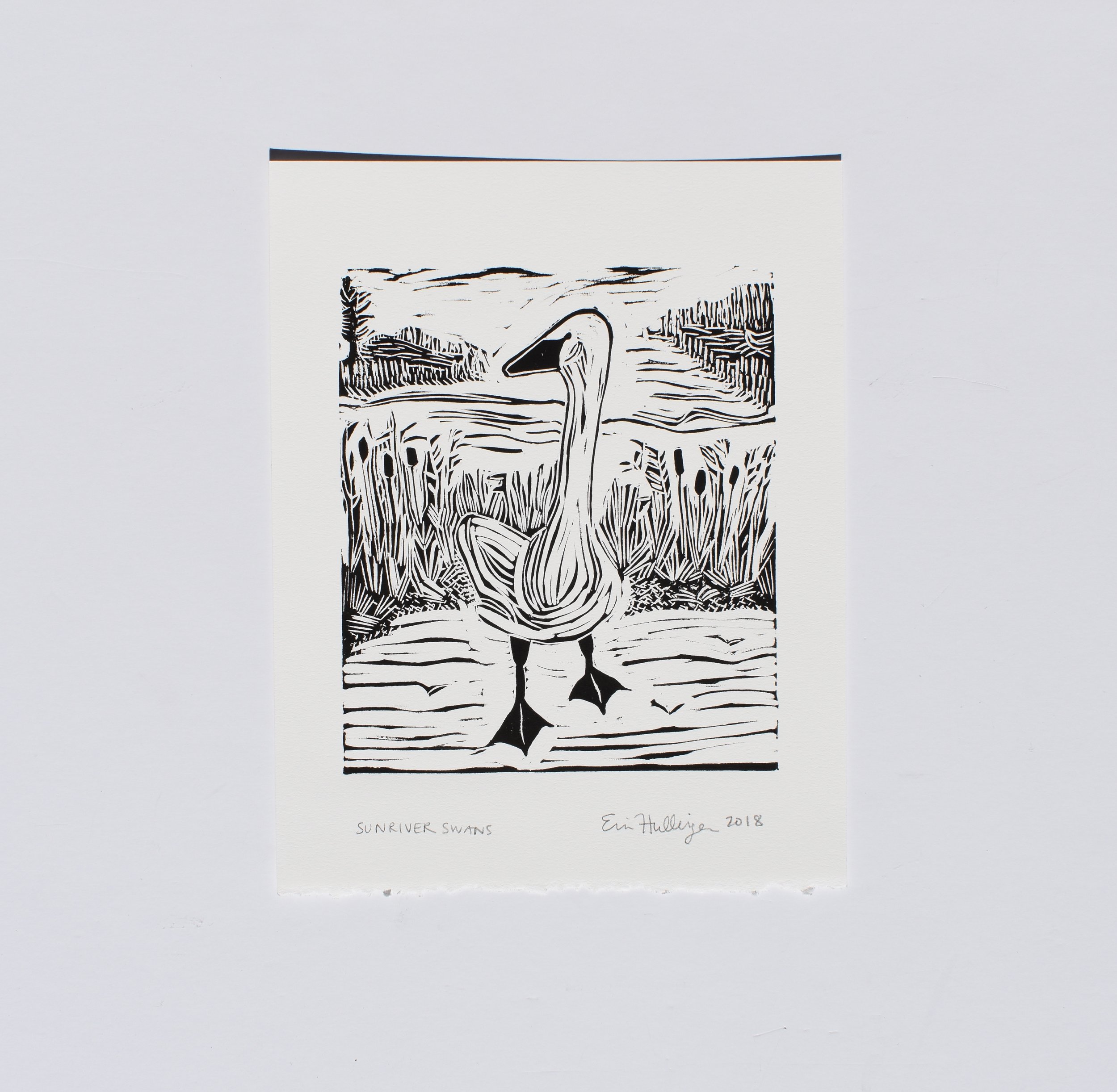 Sunriver Swan, 2017