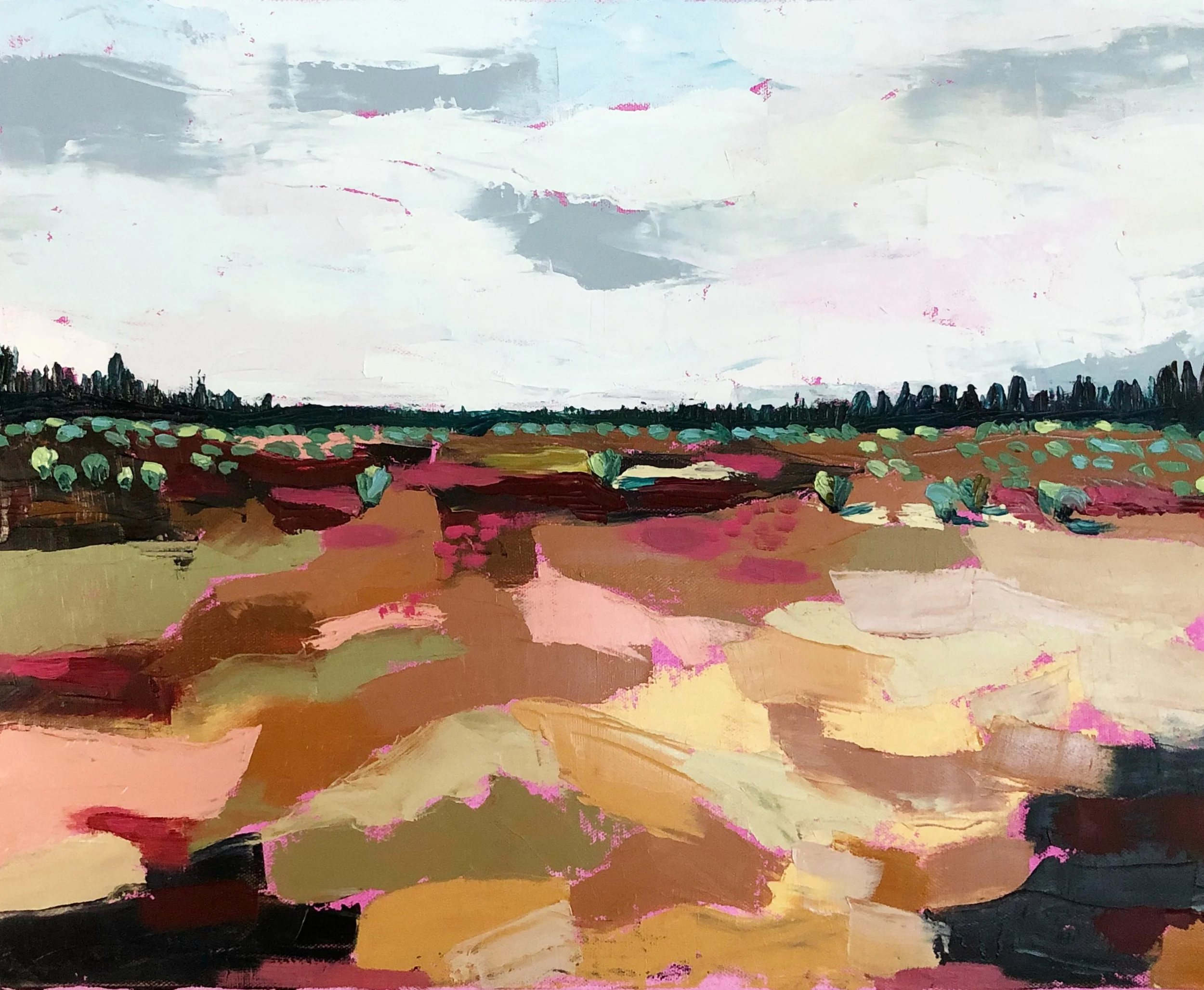 Phil's Trail 5, 2019