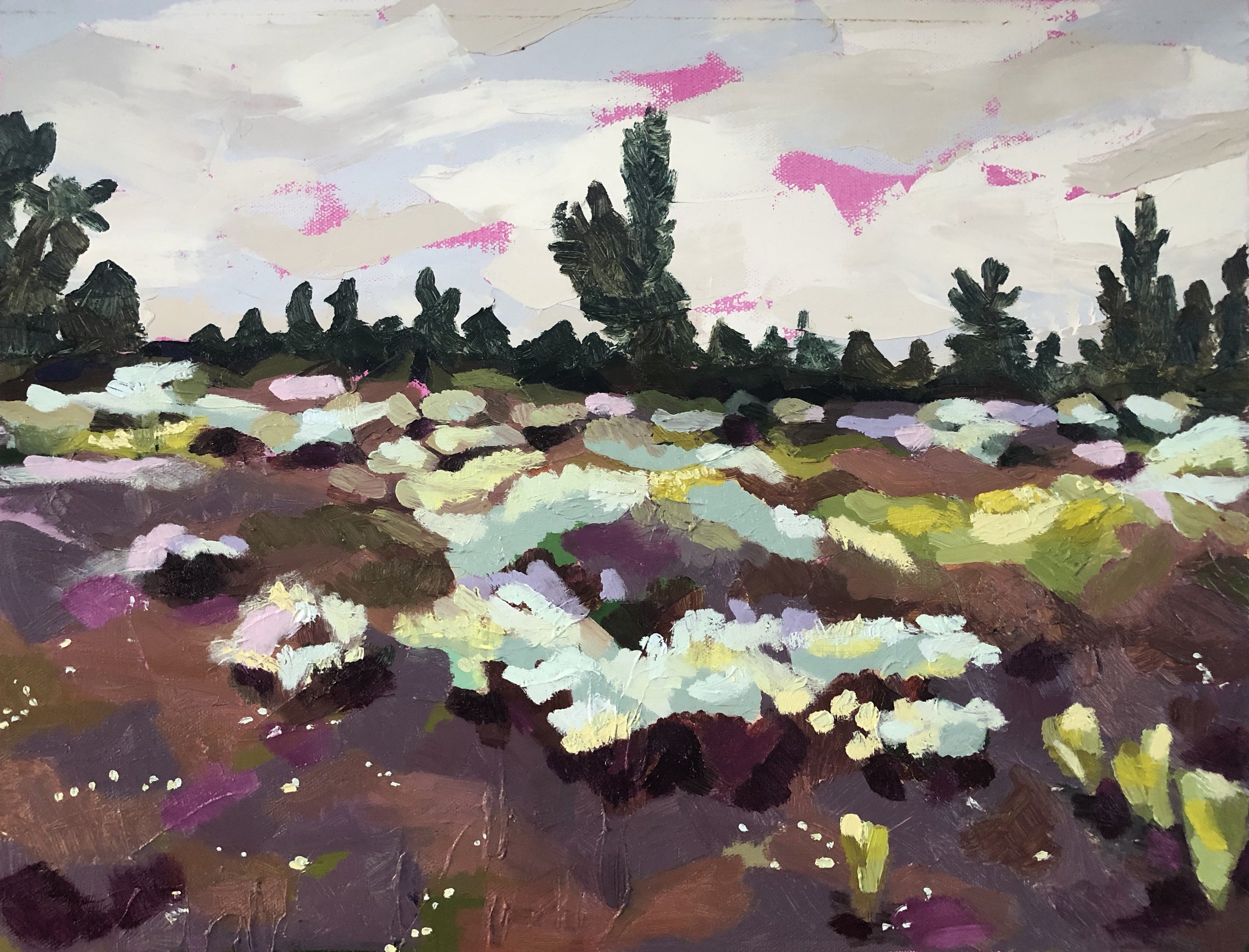Oregon Badlands Superbloom, 2019