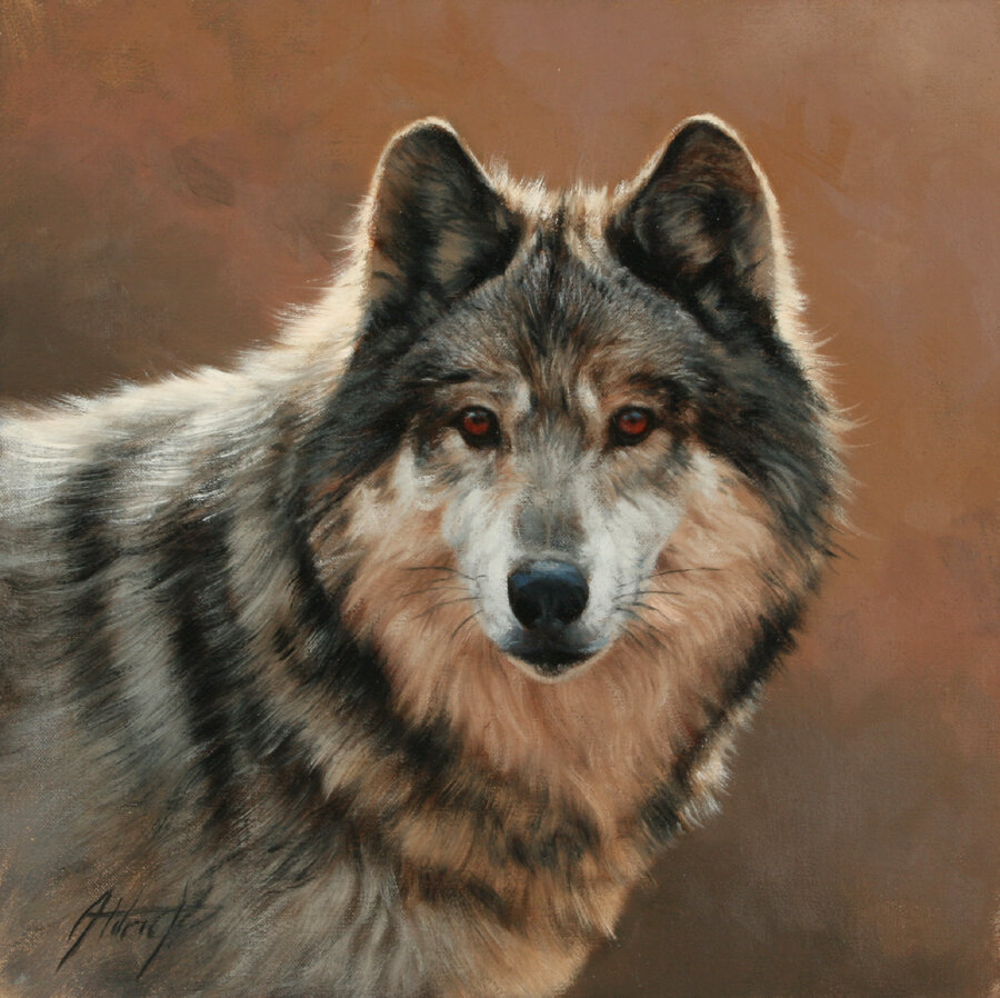 Now Representing Colorado Wildlife Artist Edward Aldrich