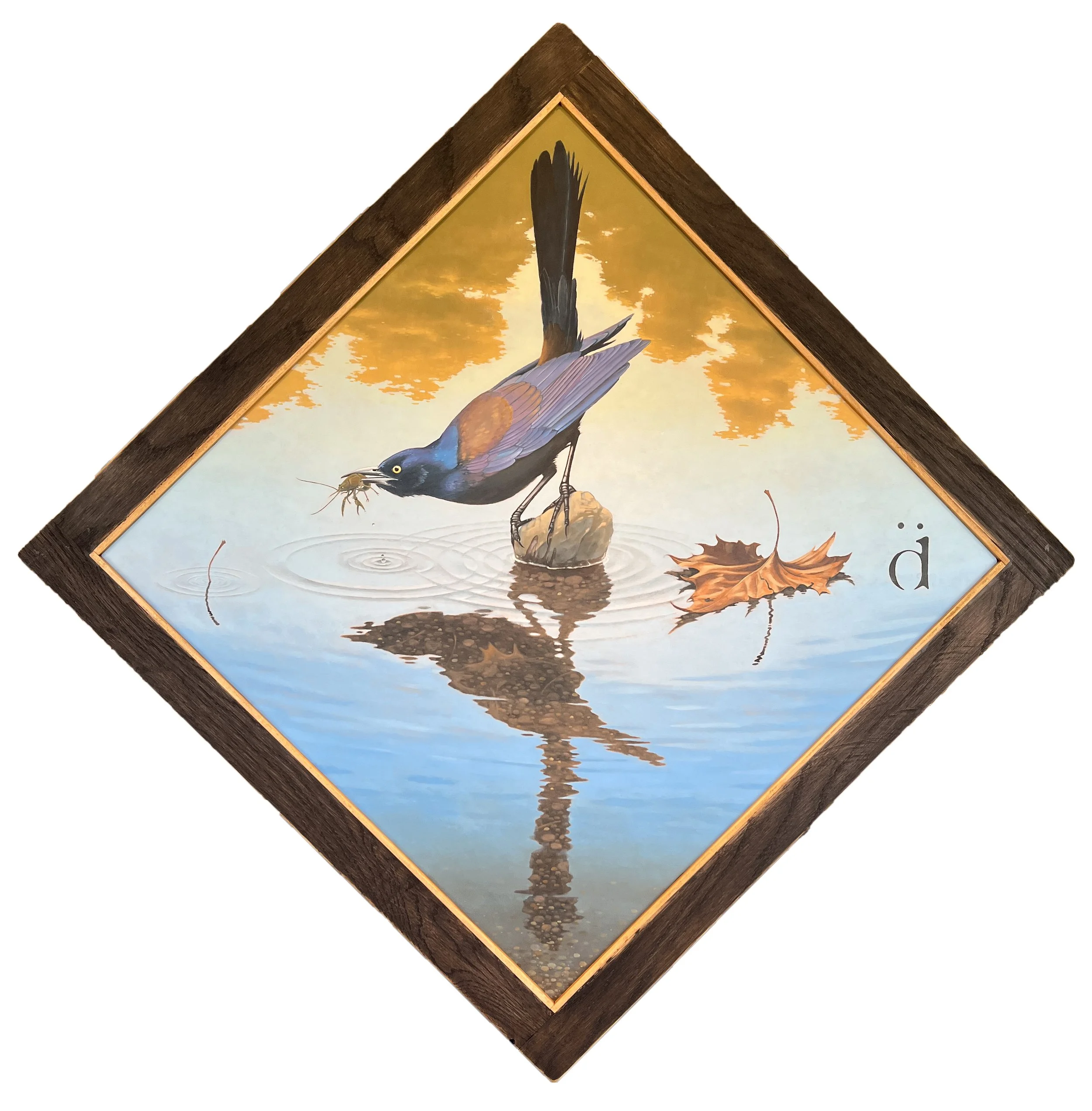 Life and Death on Tahlequah Creek