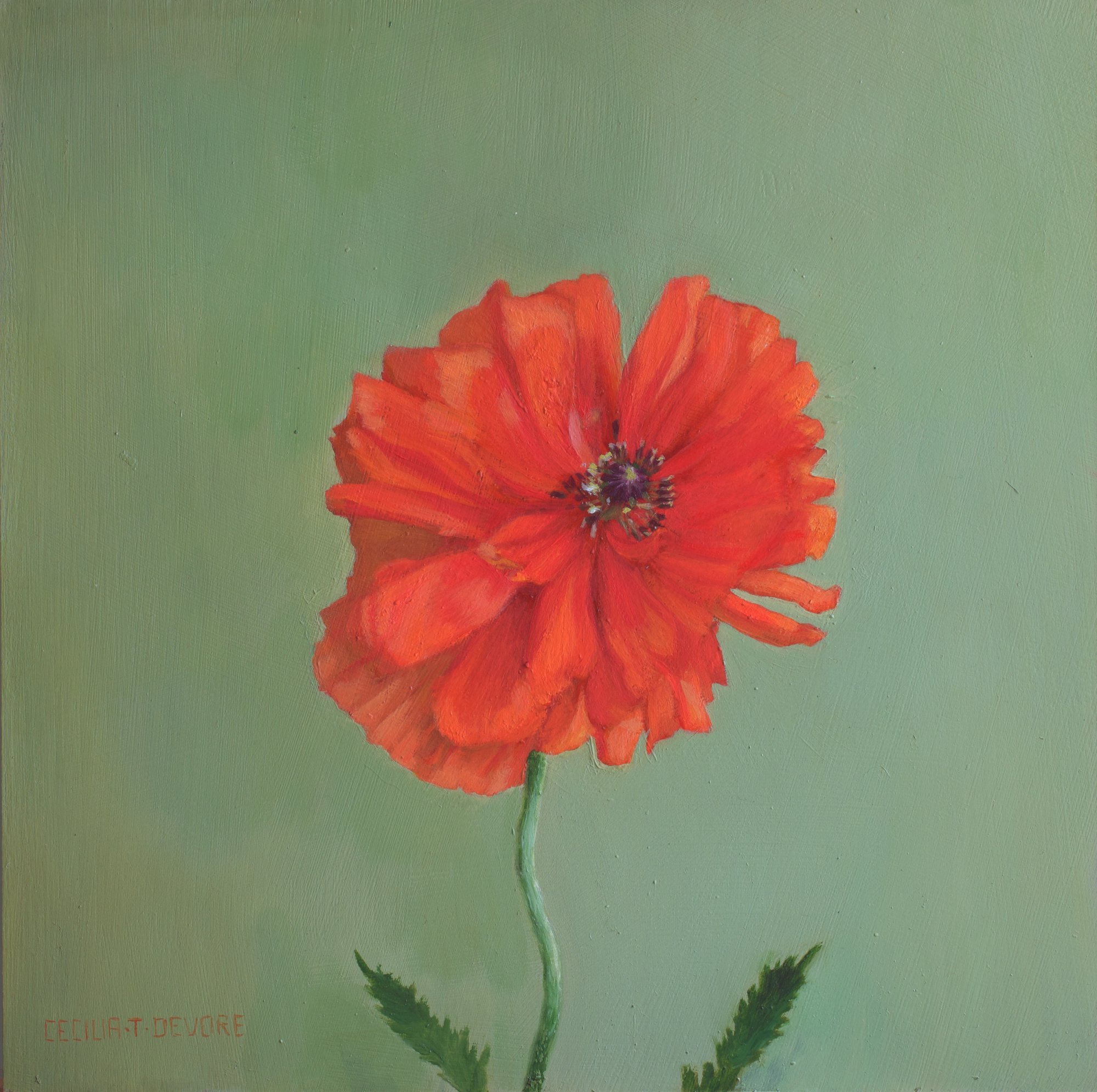 Cecilia Thorell DeVore