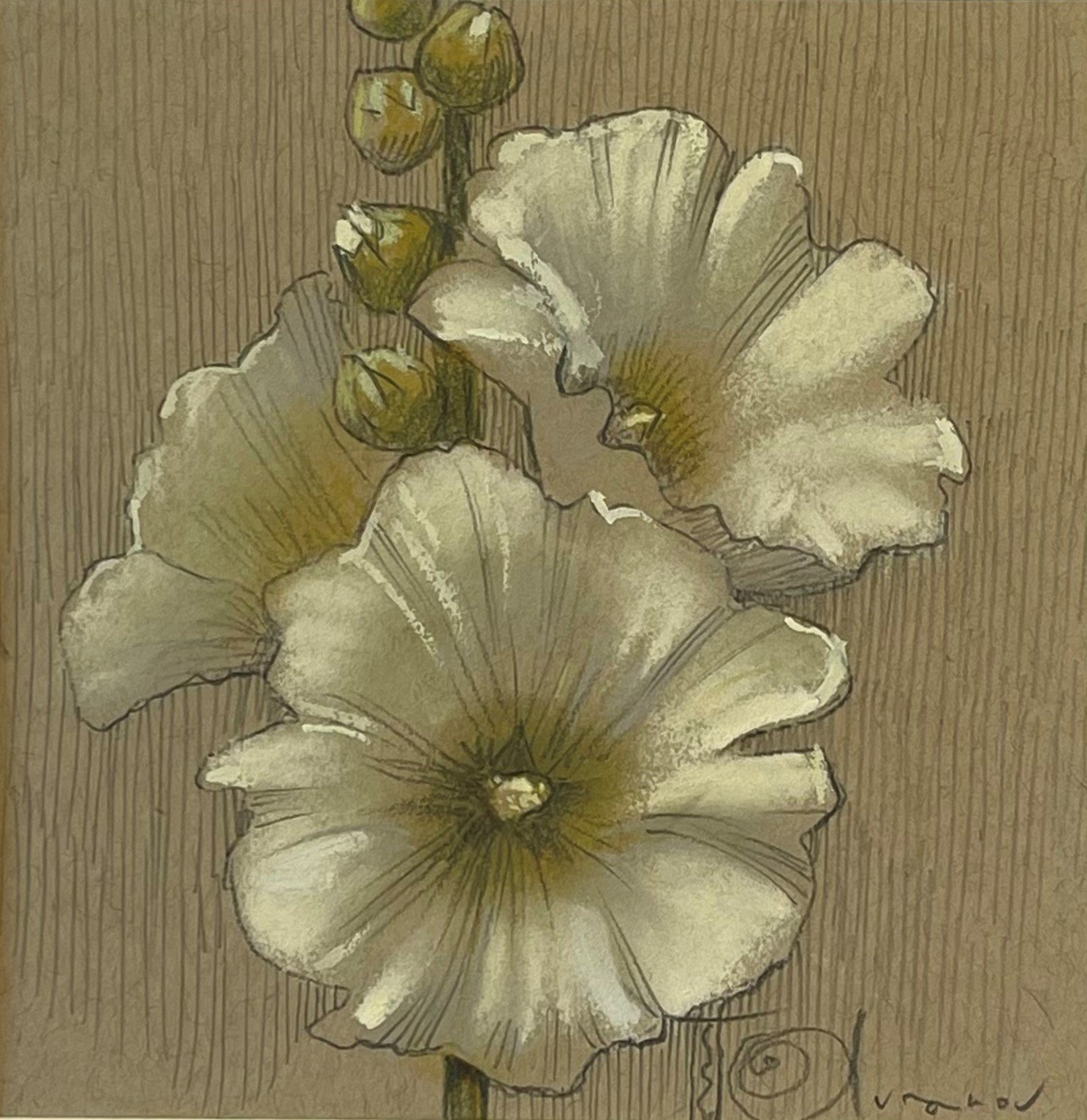 White Hollyhocks
