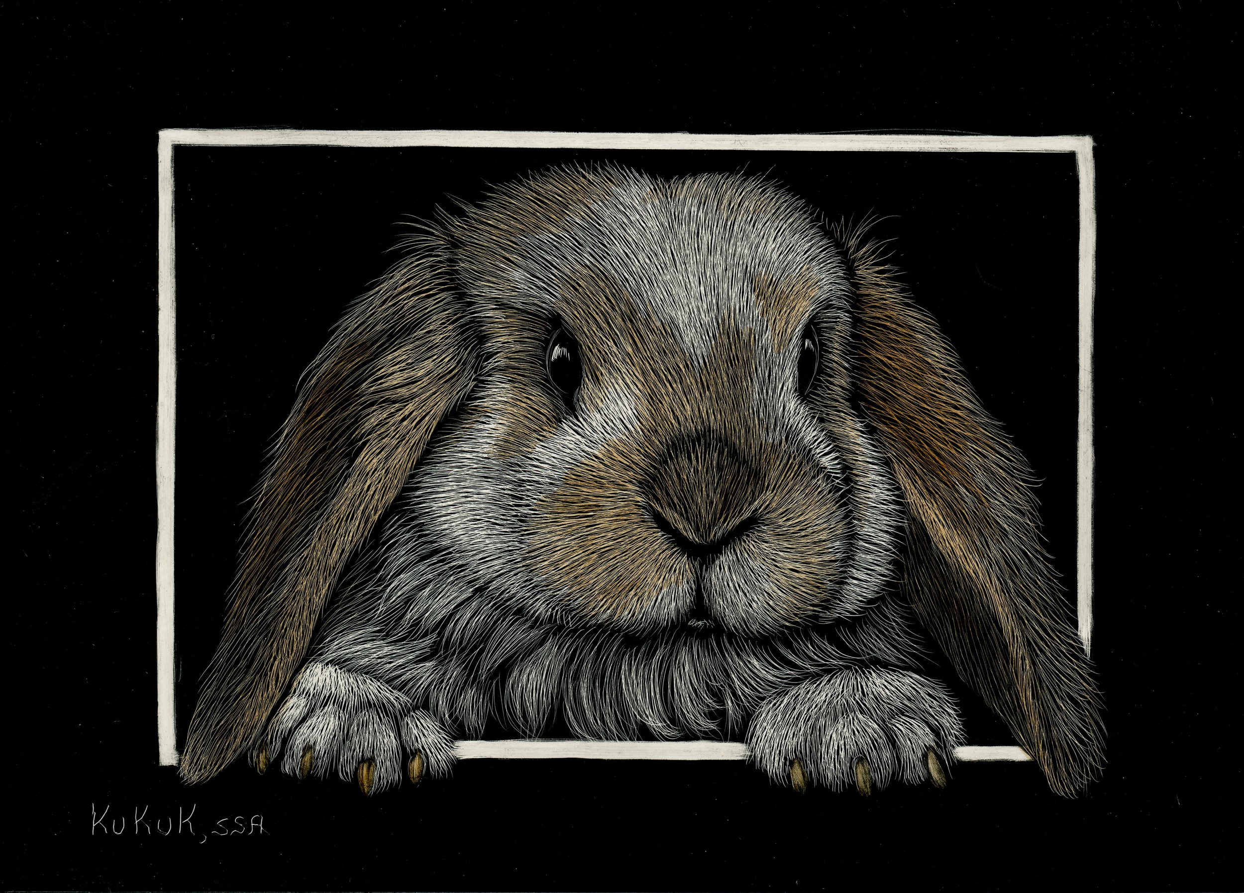 Peak-a-boo Bunny