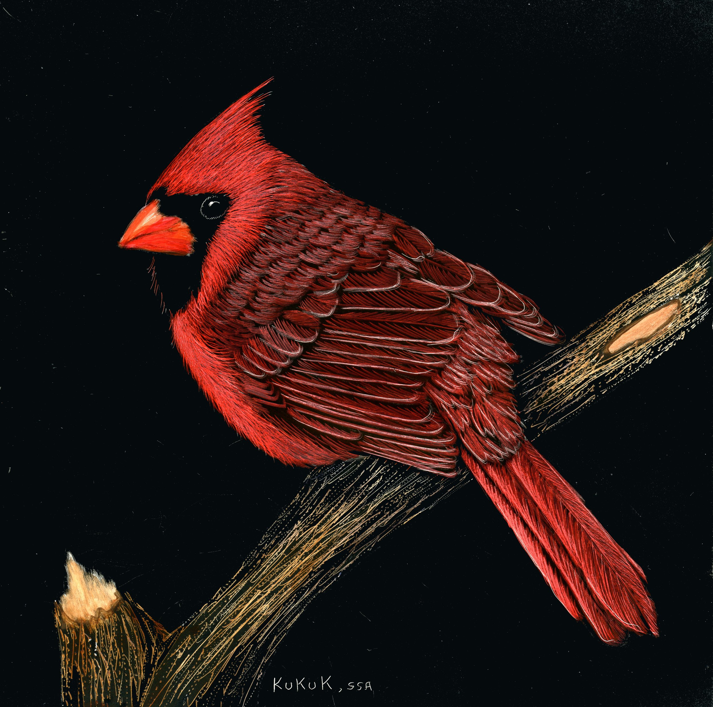 Pretty in Red