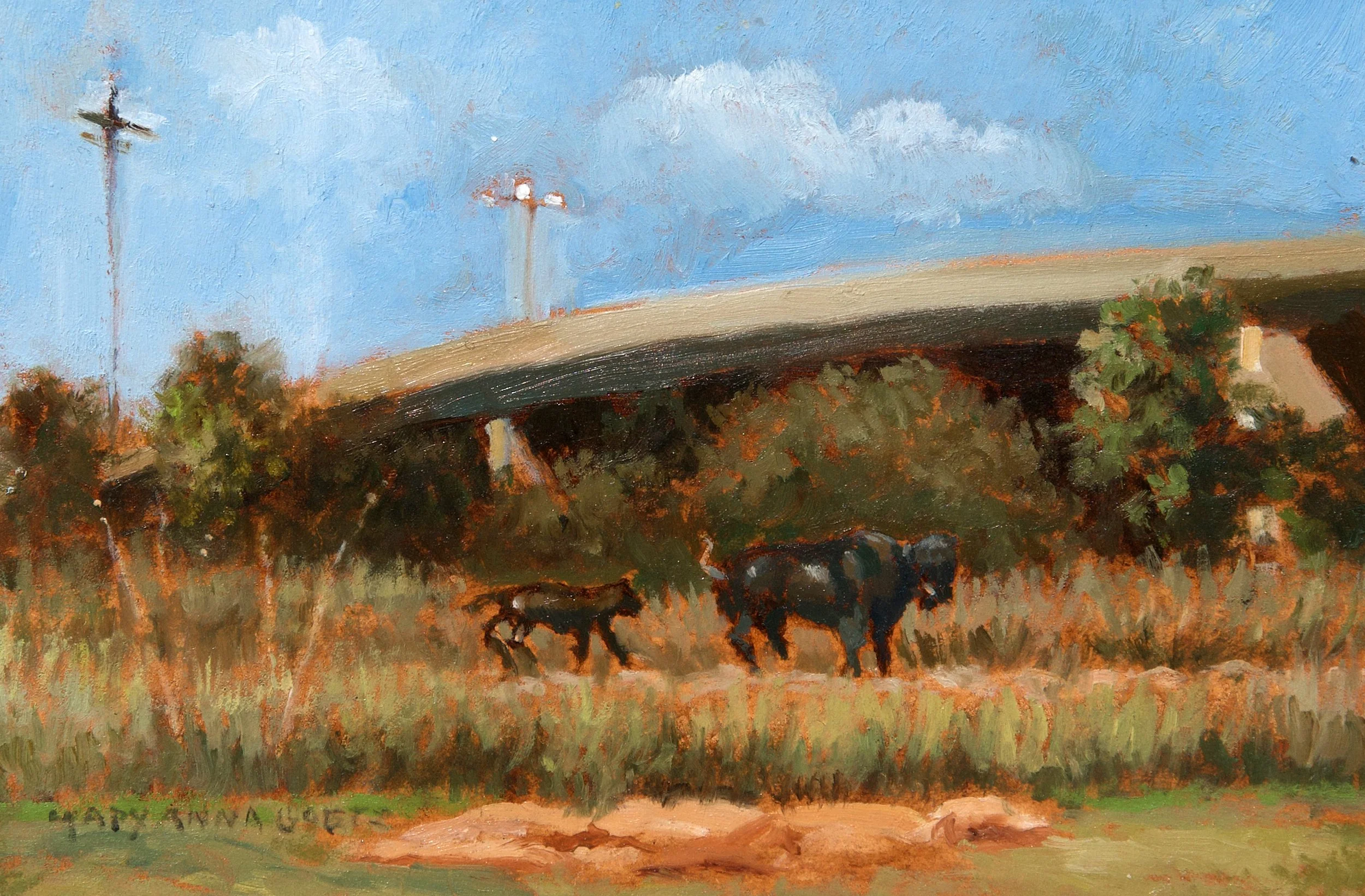 Where the Buffalo Roam