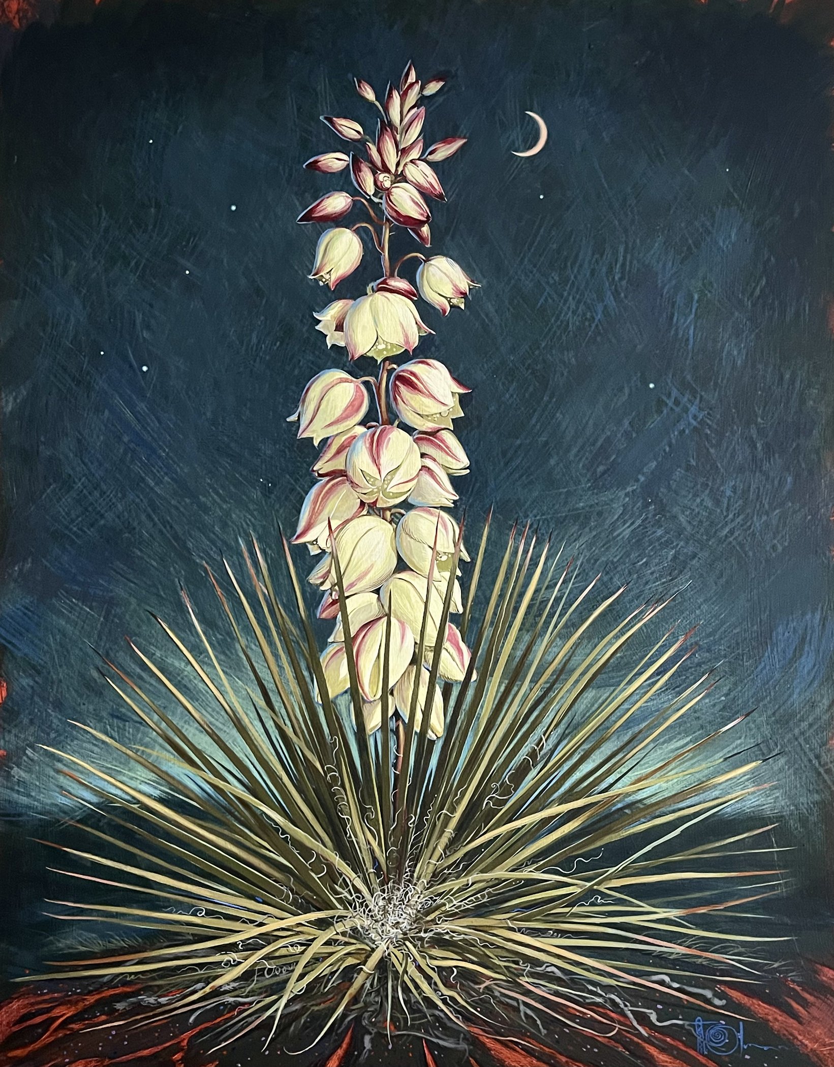 June Night in the Desert