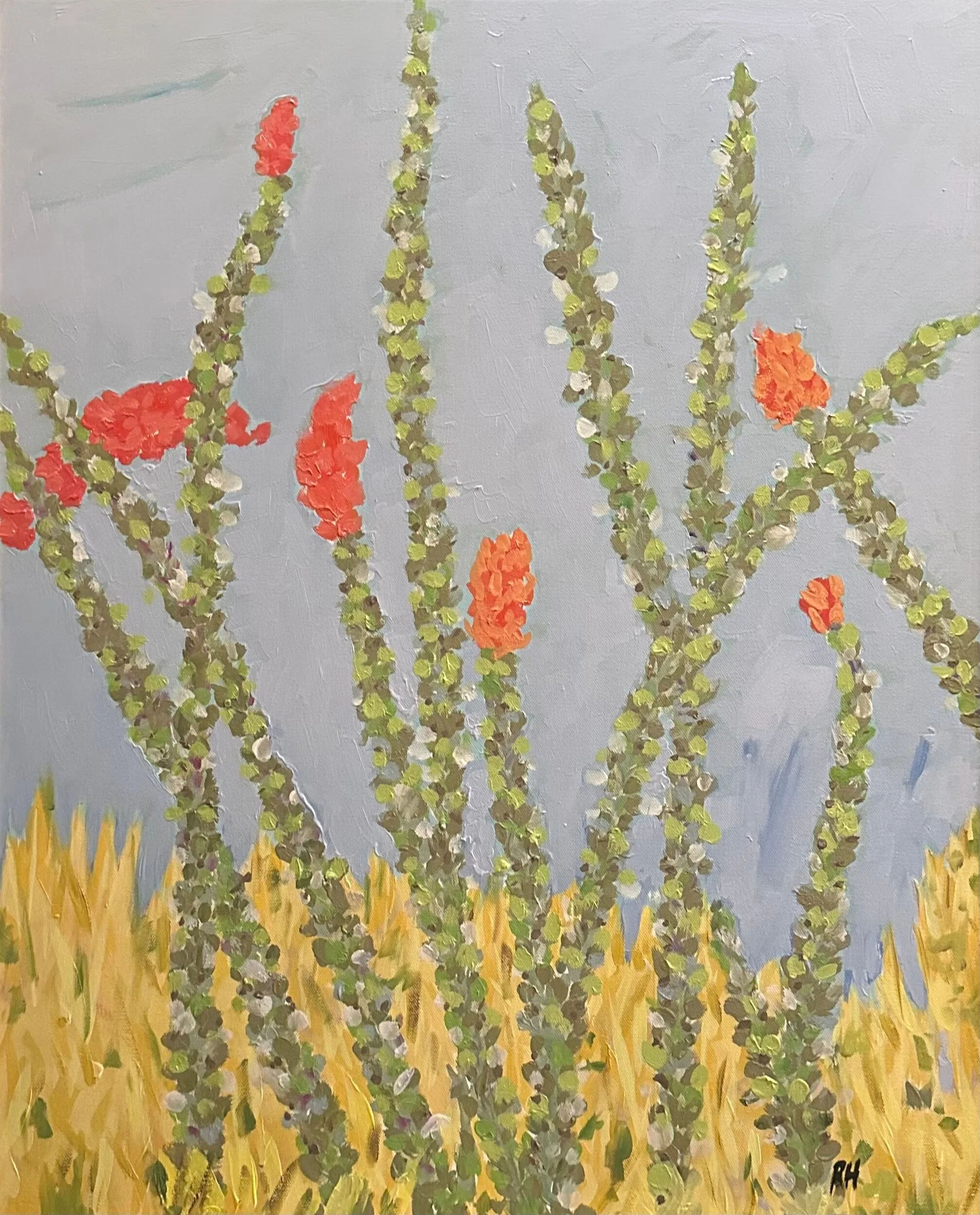 Small Ocotillo