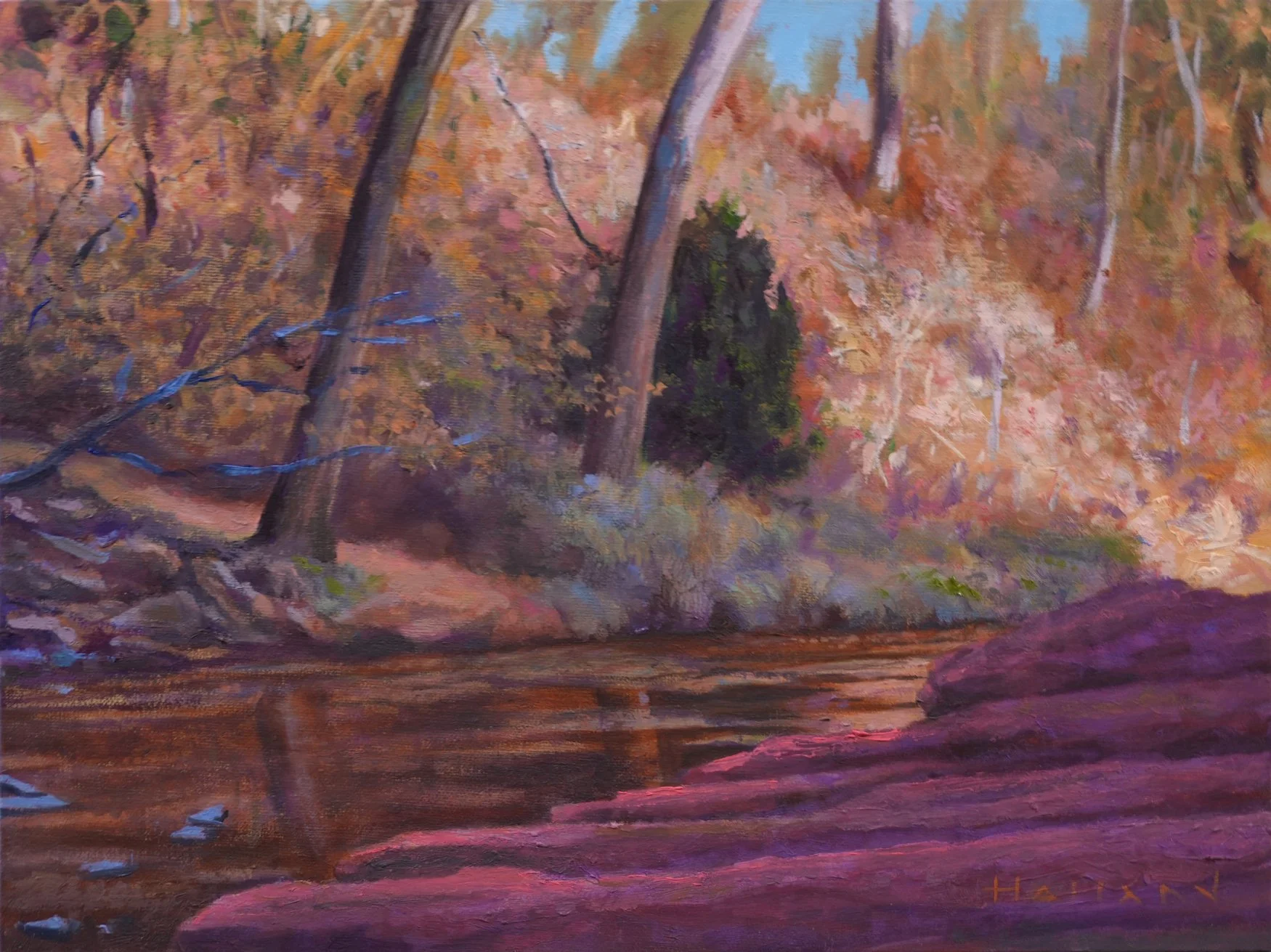 Bluff Creek, Early Morning