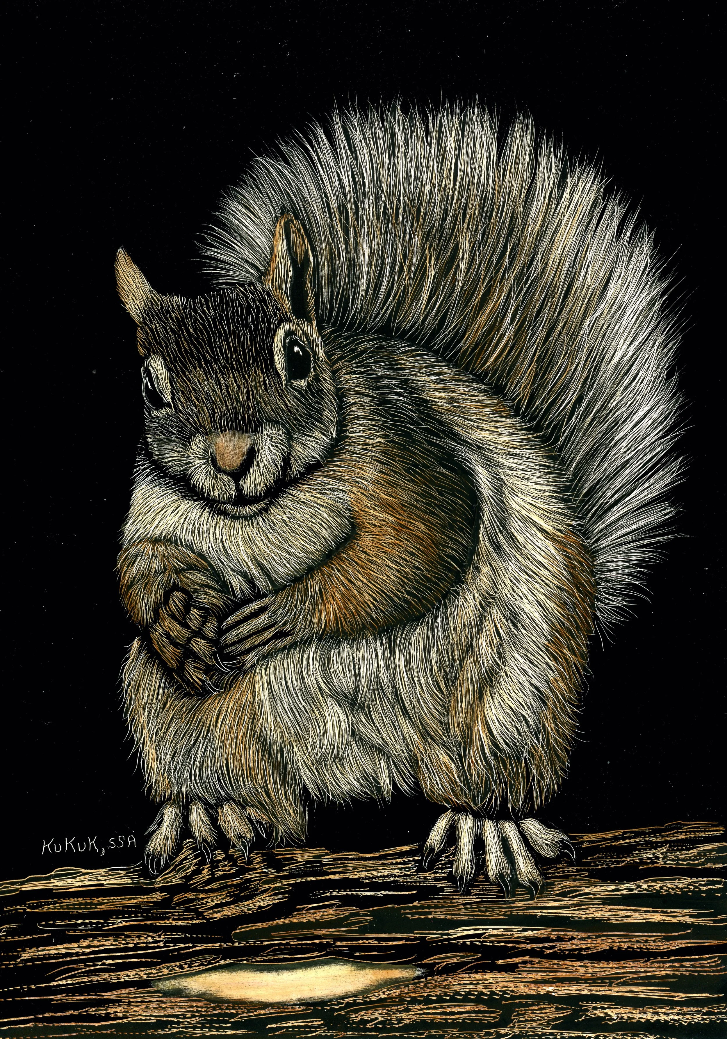 Perky Squirrel